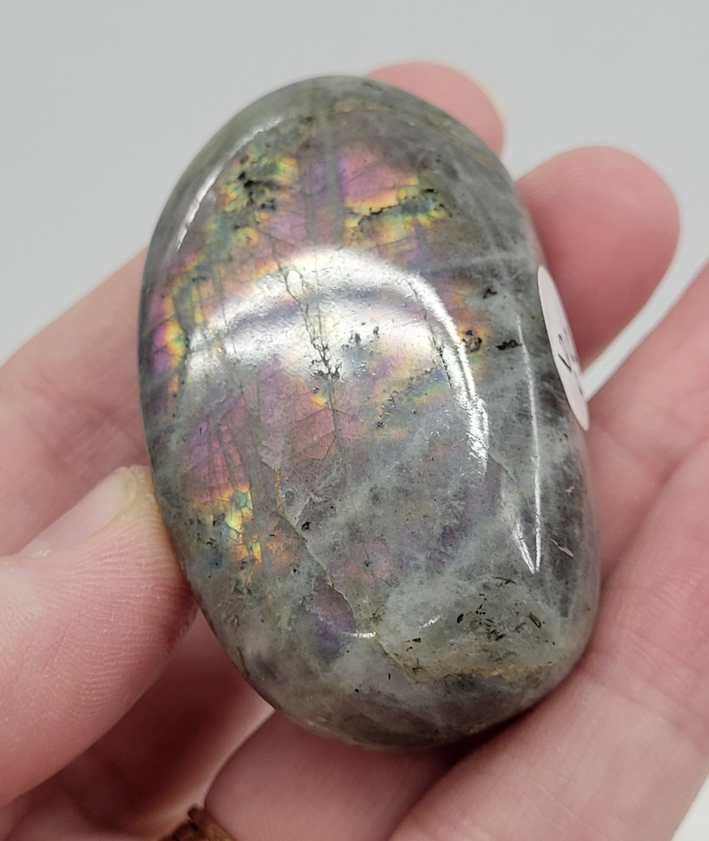 Palm - Labradorite