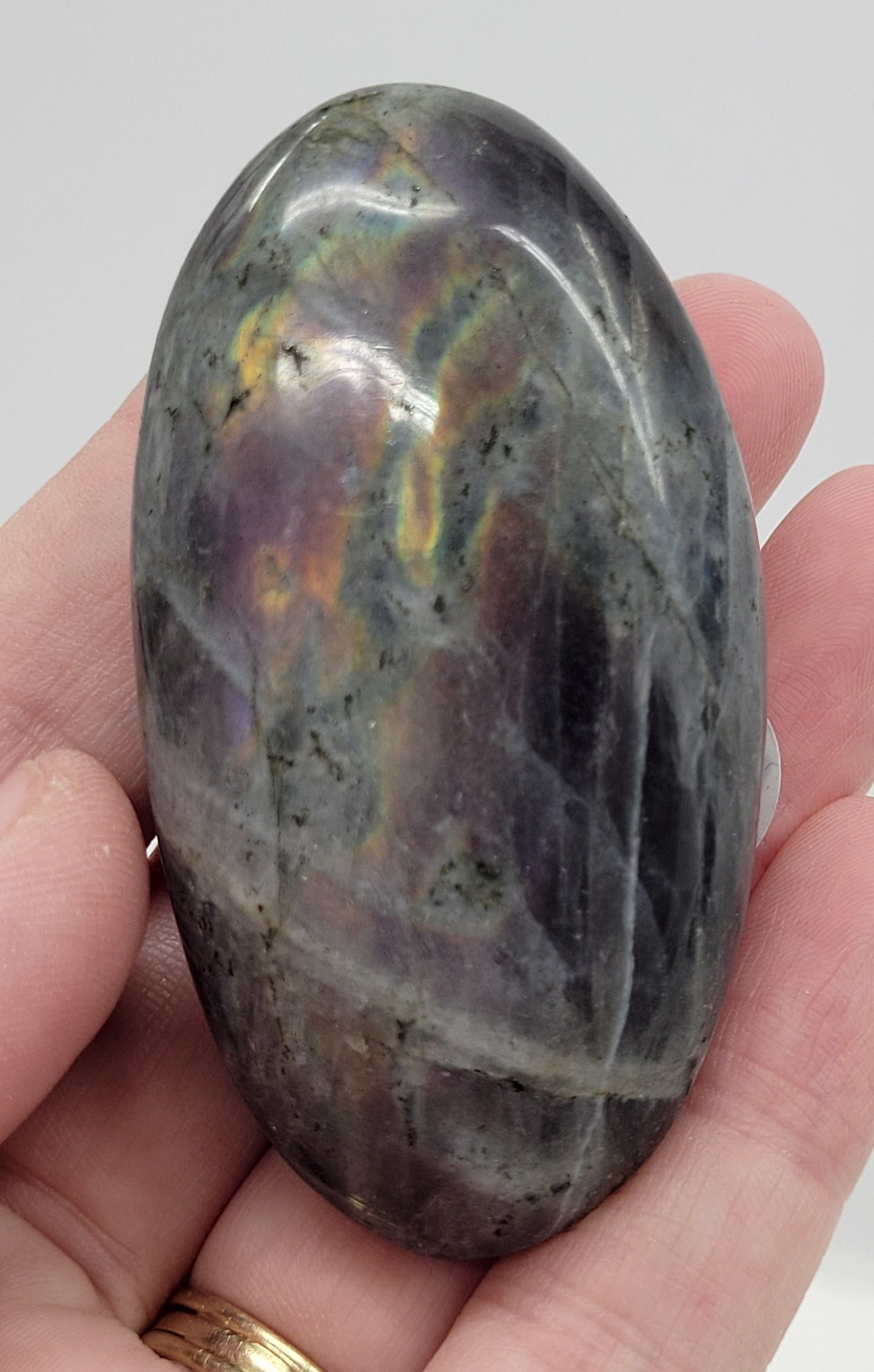Palm - Labradorite