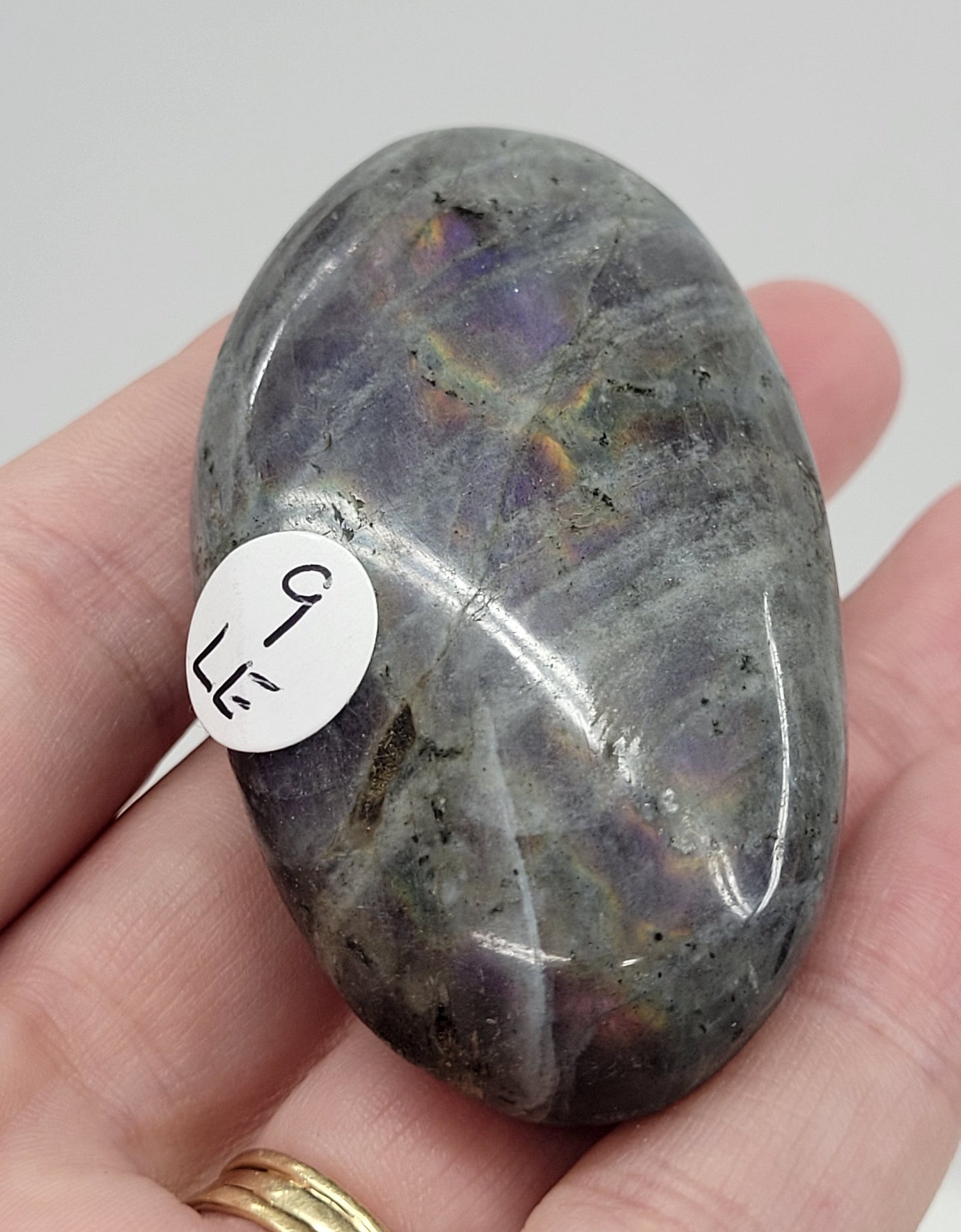 Palm - Labradorite