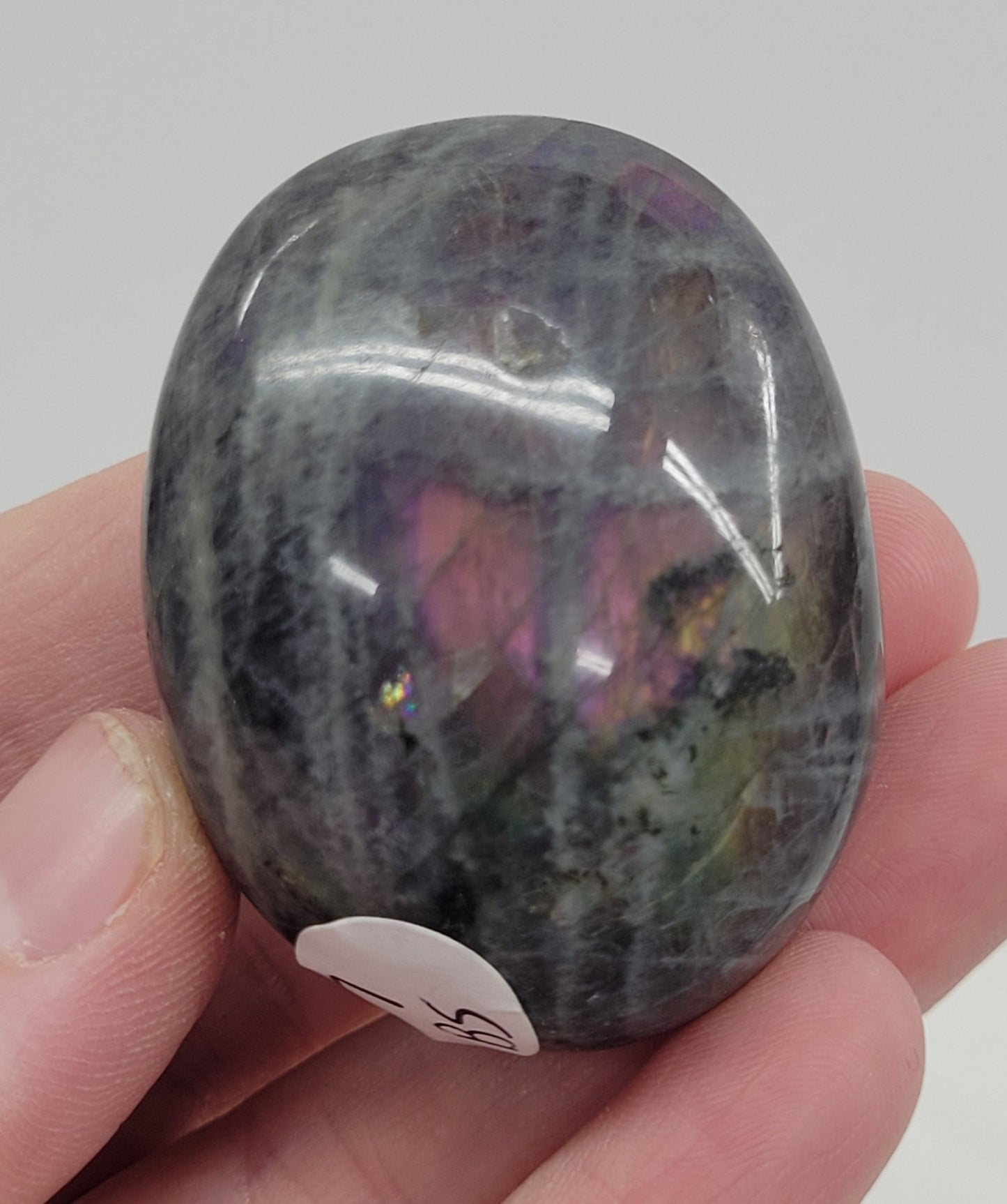 Palm - Labradorite