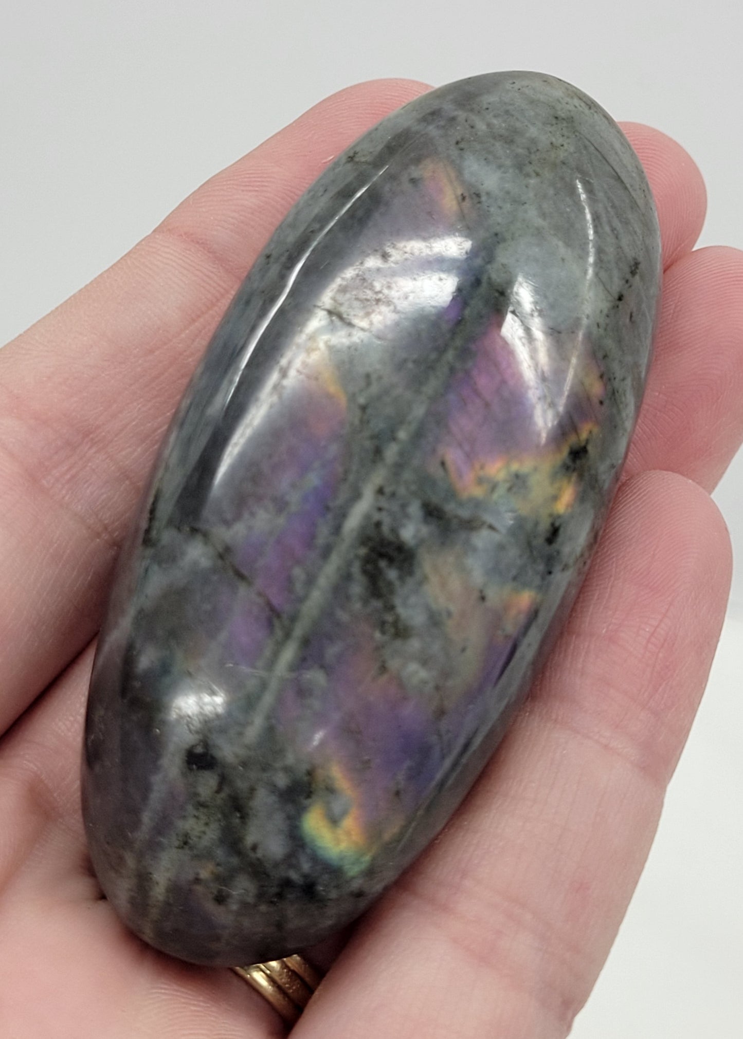 Palm - Labradorite