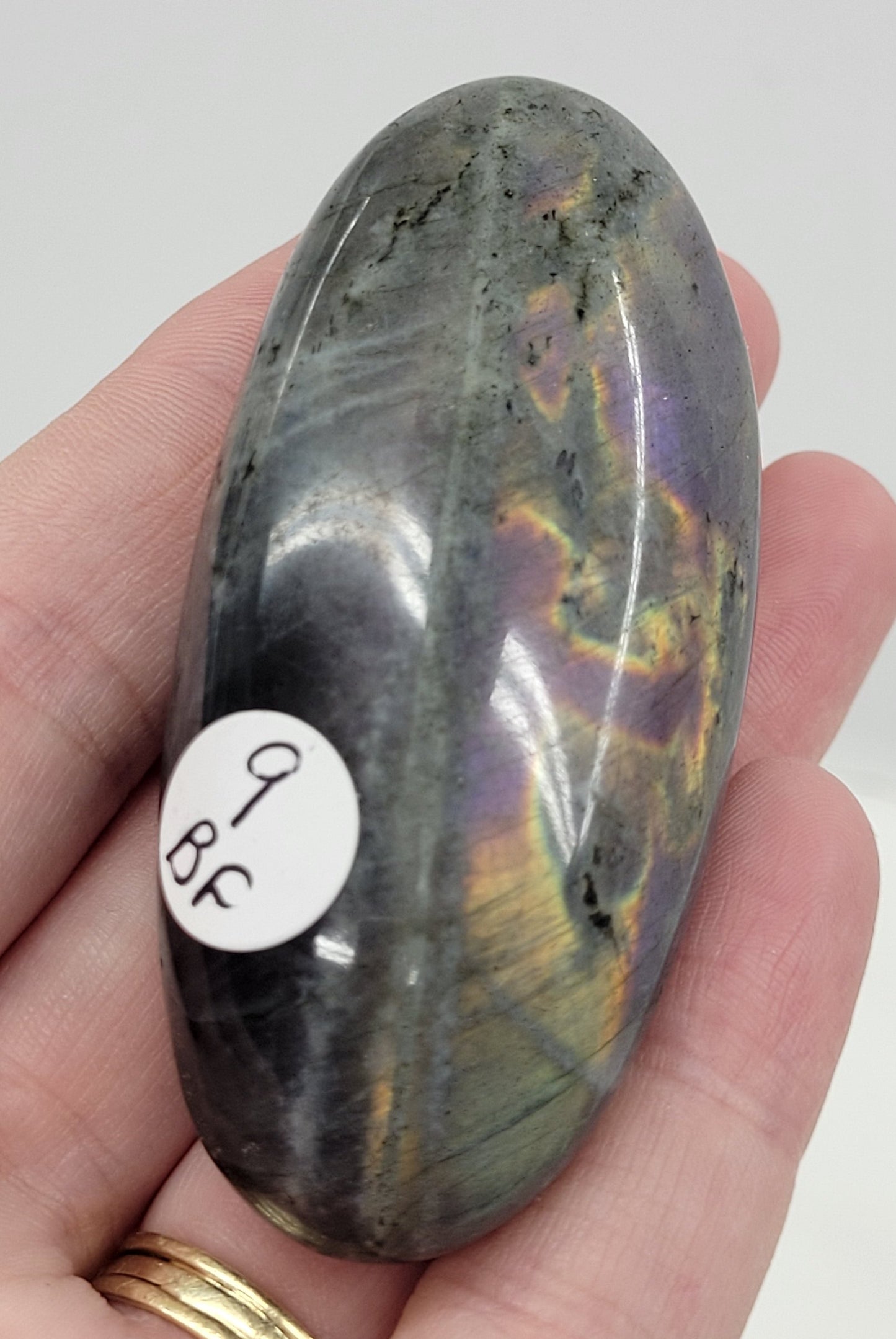 Palm - Labradorite