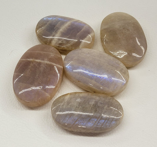 Palm - Moonstone