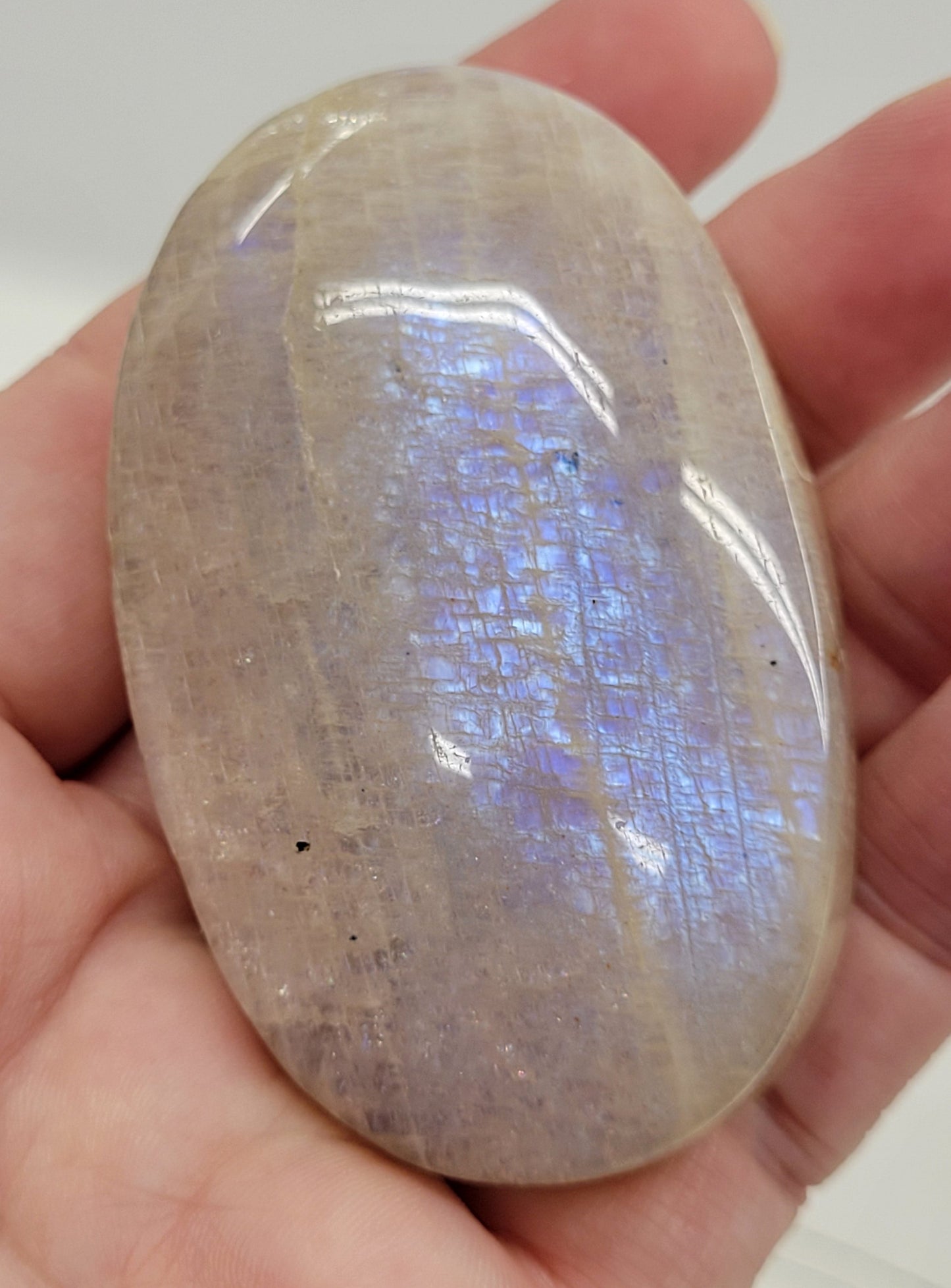 Palm - Moonstone
