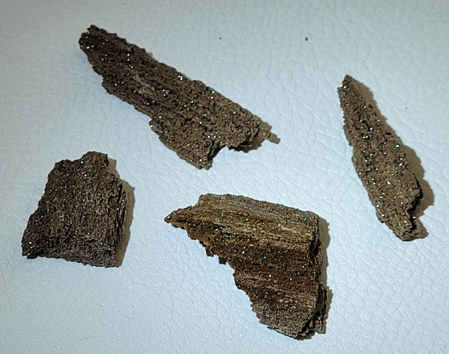 Collection of permineralized wood with a shiny quartz coating, displaying the textured original wood structure.