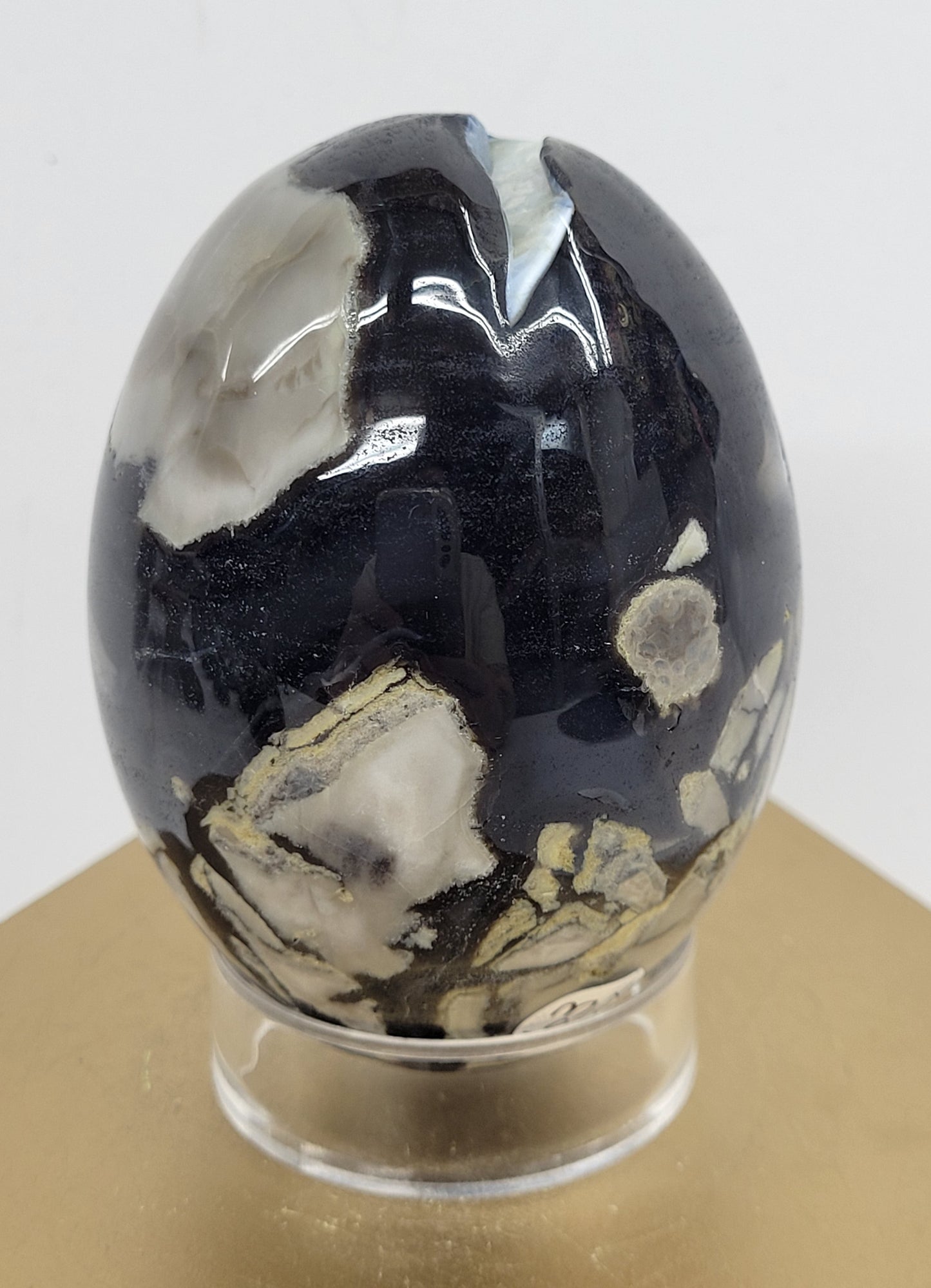 Volcano Agate - Dragon/dino egg (large)