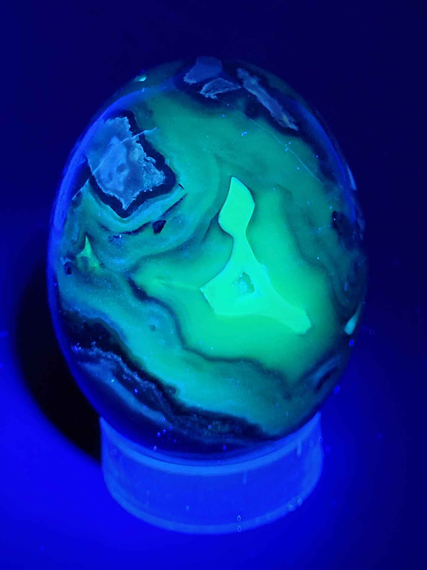 Volcano Agate - Dragon/dino egg (large)