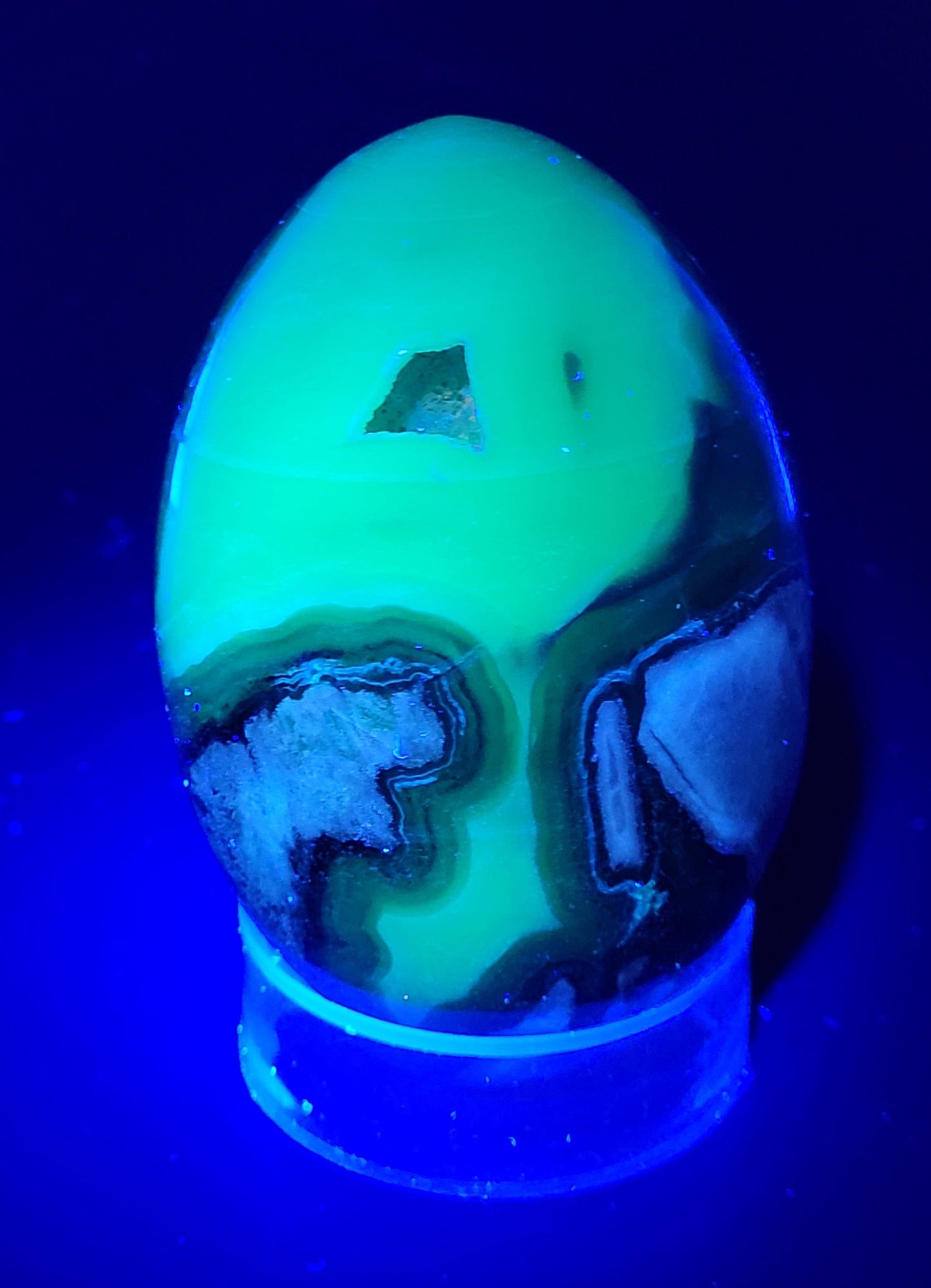 Volcano Agate - Dragon/dino egg (large)