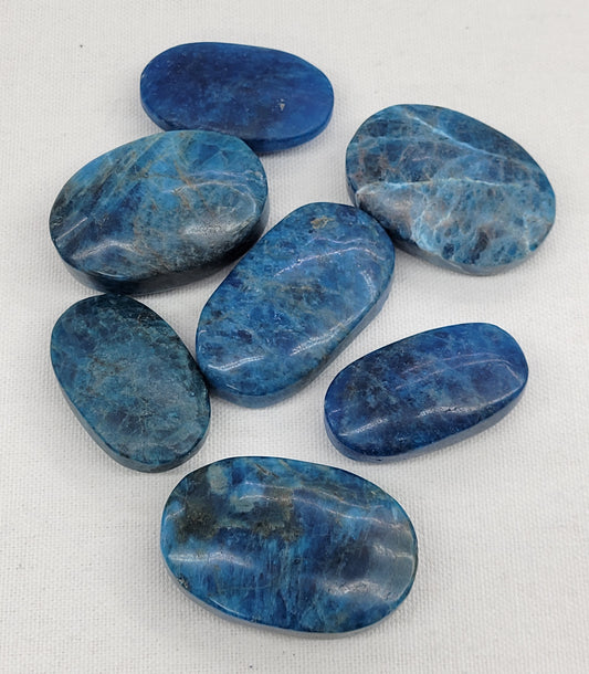 Palm - Blue Apatite