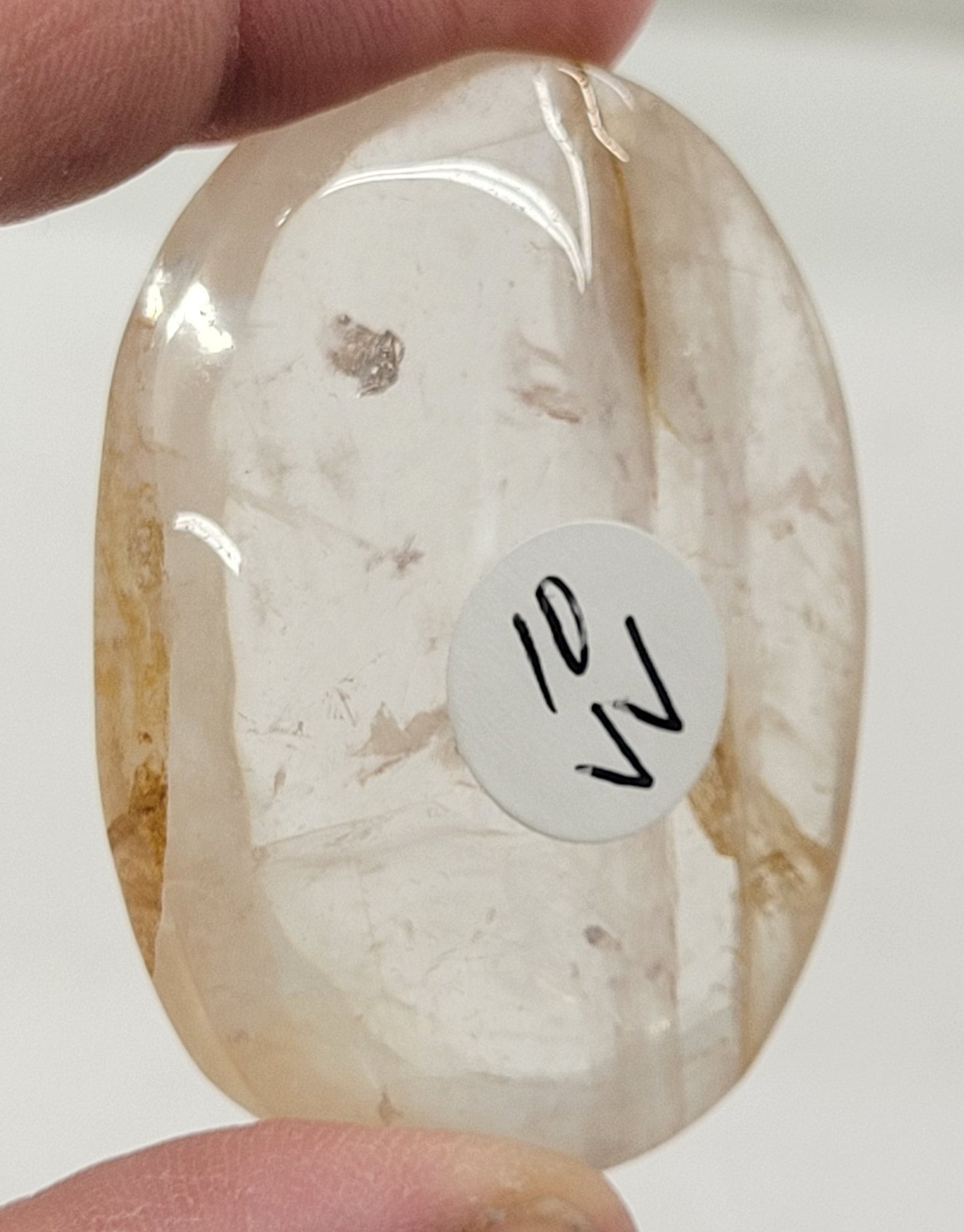 Palm - Golden Healer