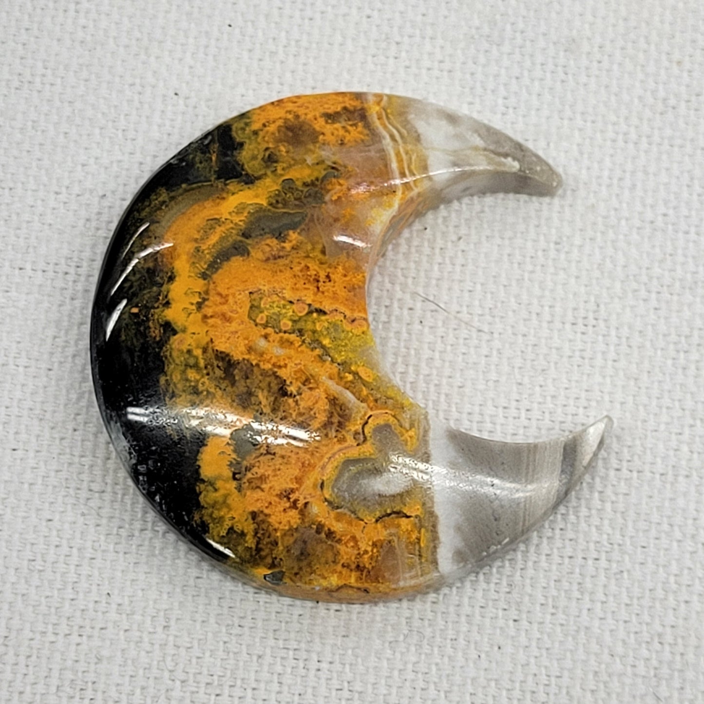 Bumblebee Jasper moon