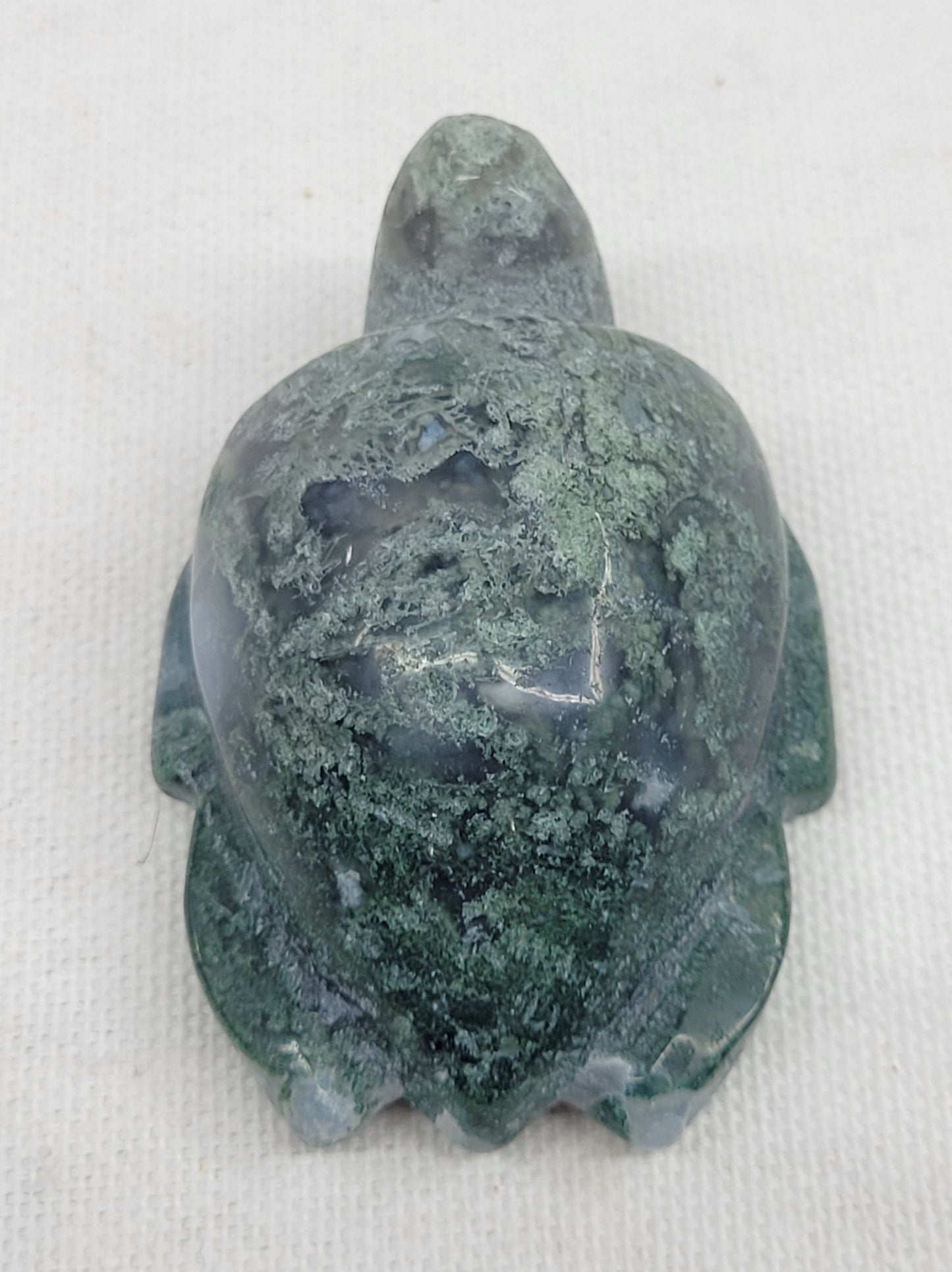 Sea turtle - Moss Agate (large & medium)