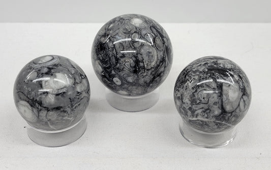 Fossil Shell Jasper sphere