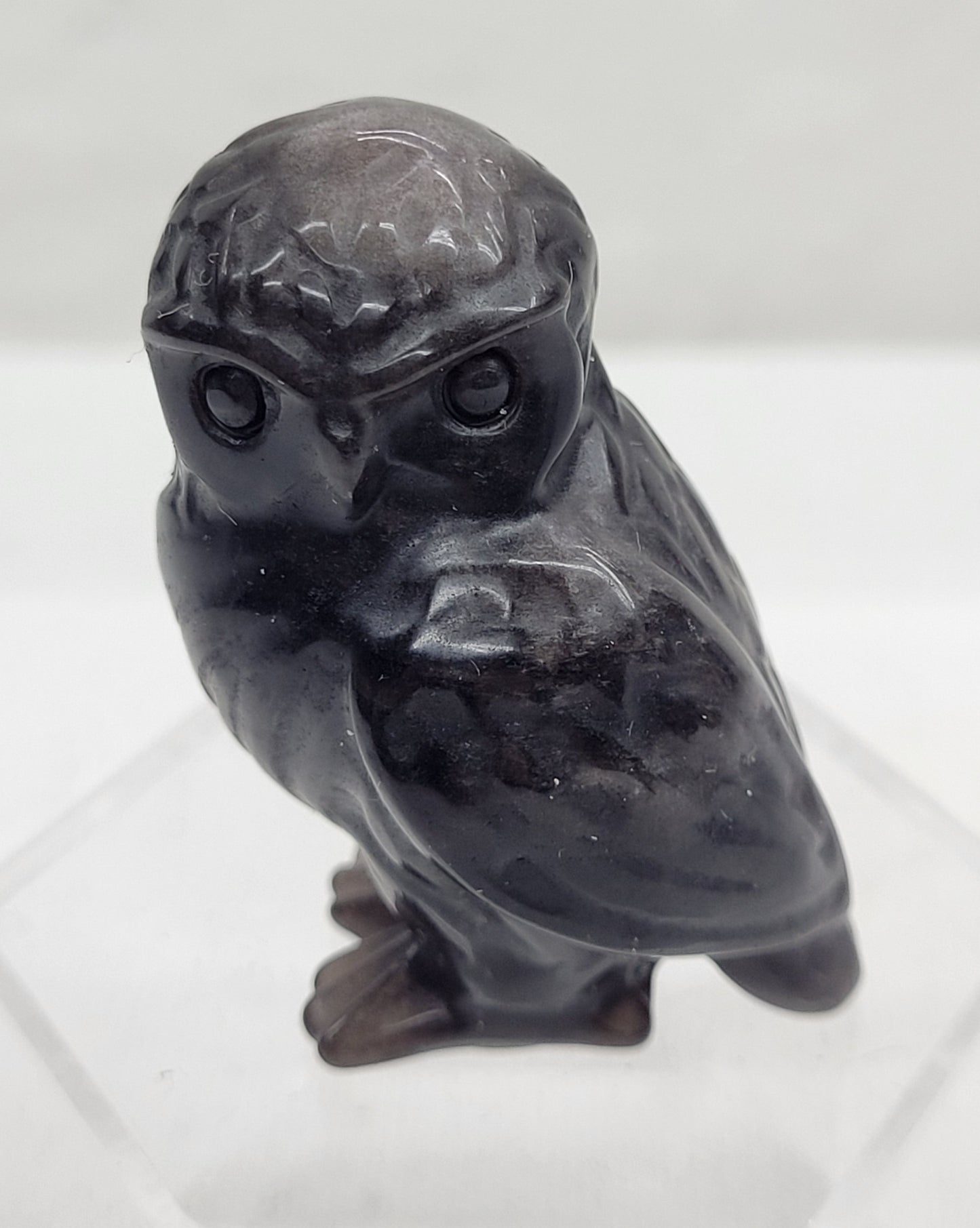 Owl (side sitting) carving