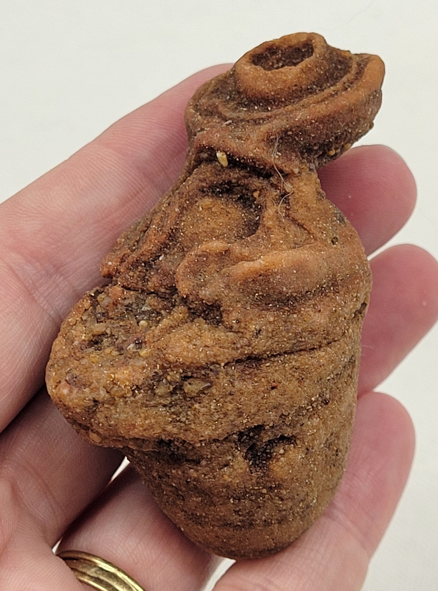 Pseudo Stromatolite (Sandstone Concretions)