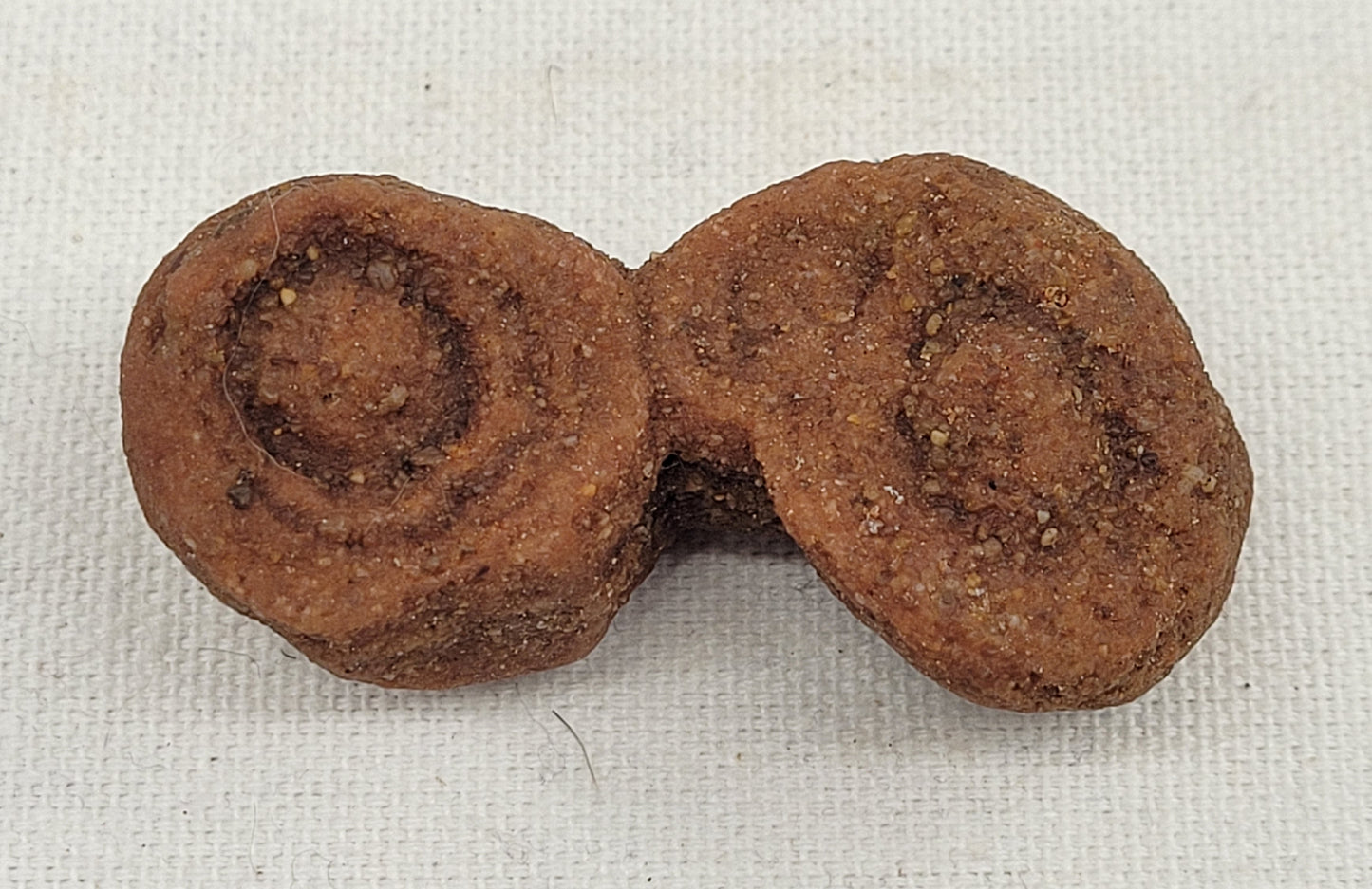 Pseudo Stromatolite (Sandstone Concretions)