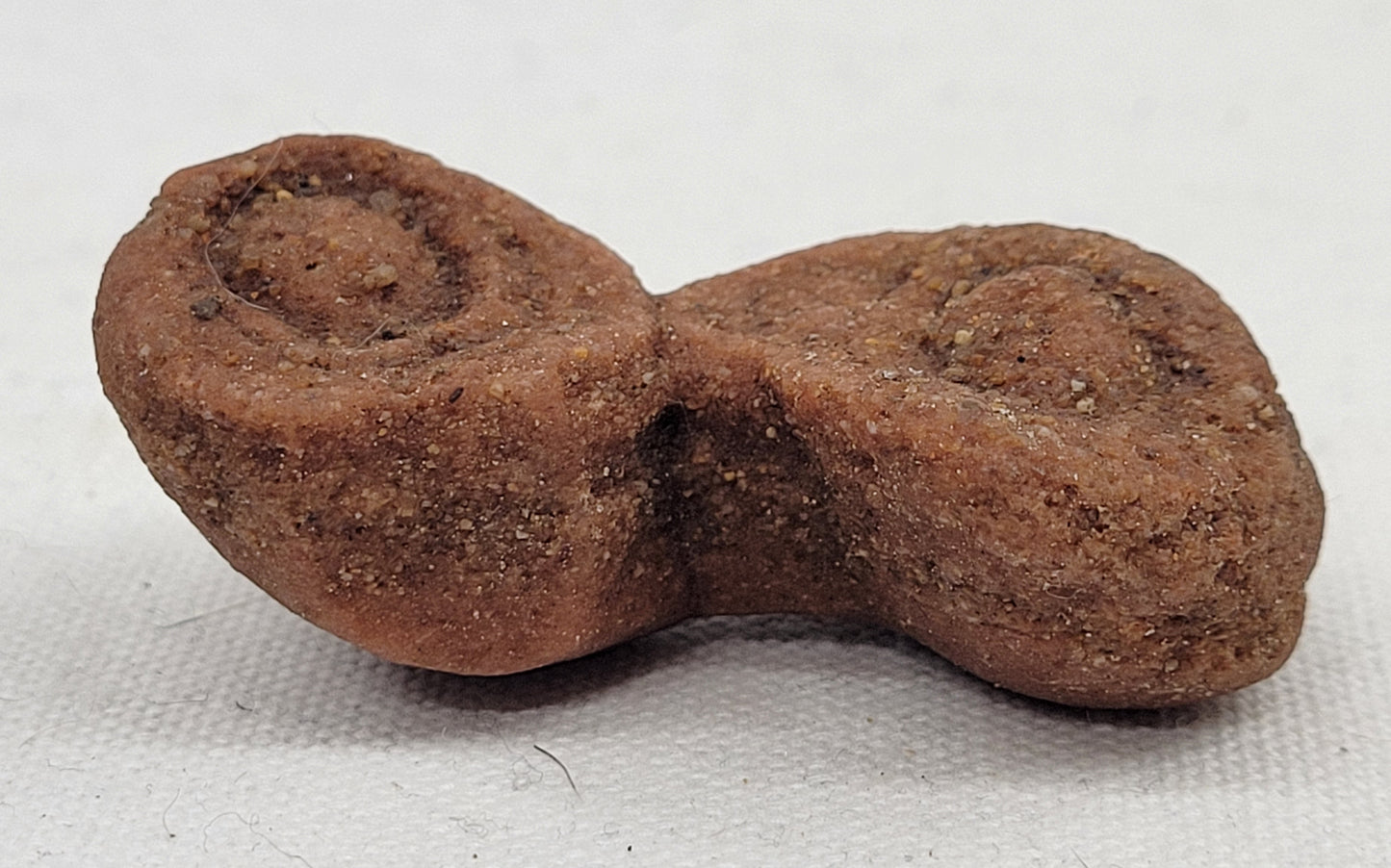 Pseudo Stromatolite (Sandstone Concretions)
