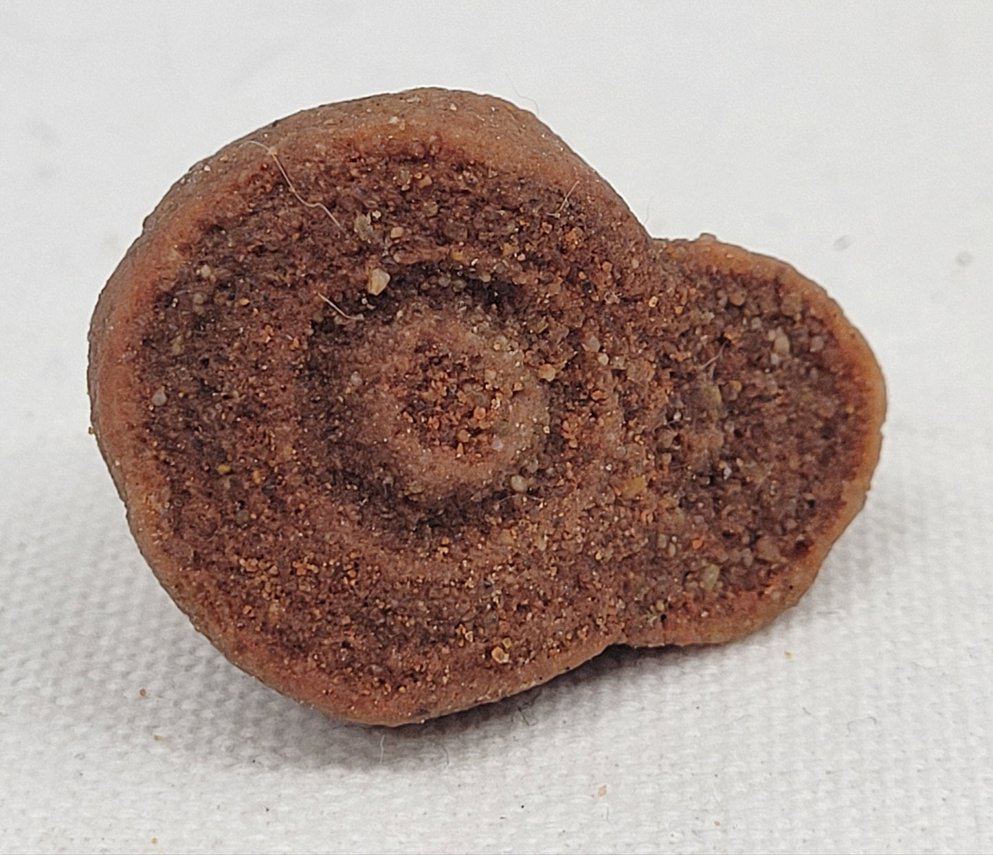 Pseudo Stromatolite (Sandstone Concretions)