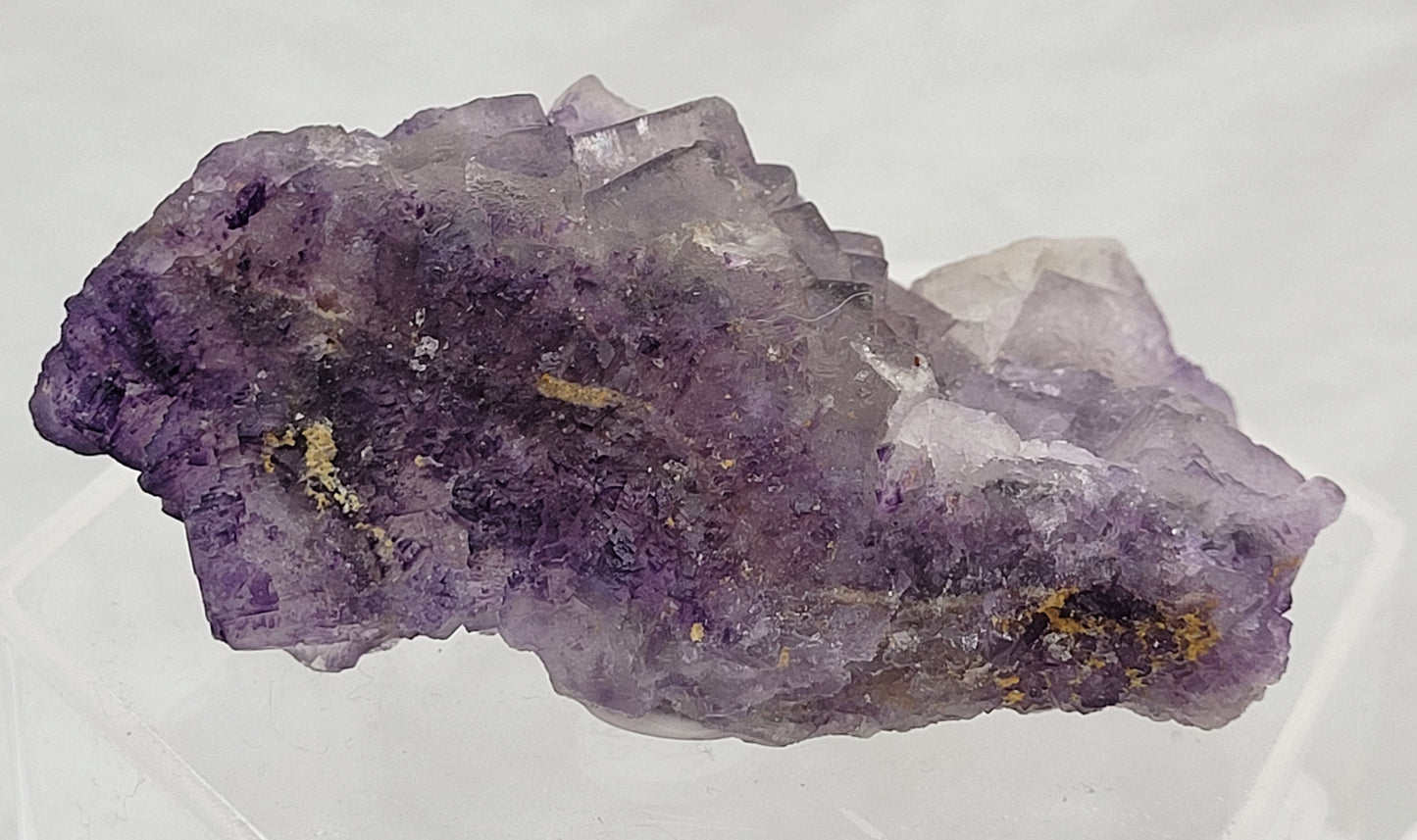 Petroleum (Galaxy) Fluorite