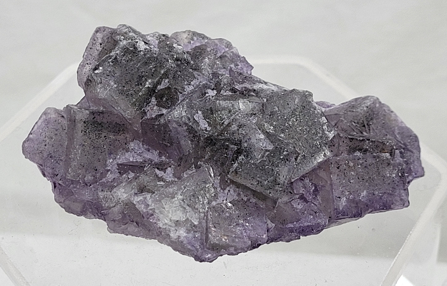 Petroleum (Galaxy) Fluorite