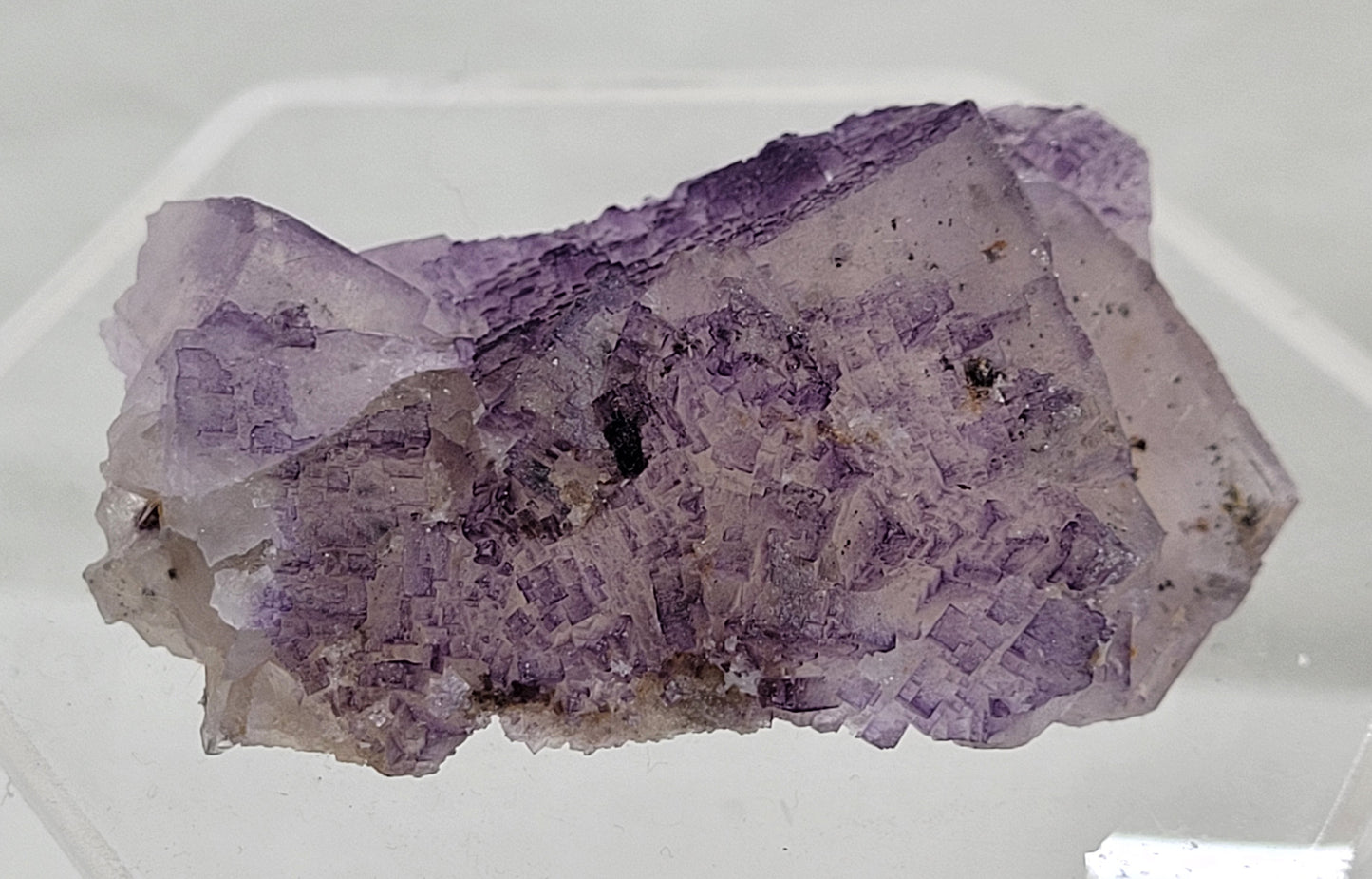 Petroleum (Galaxy) Fluorite
