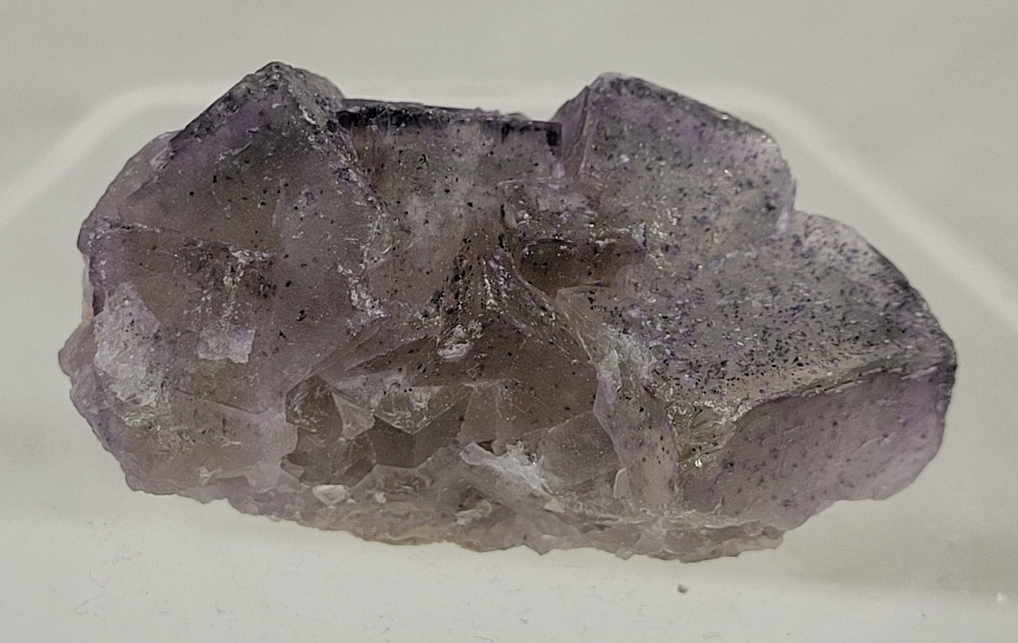 Petroleum (Galaxy) Fluorite