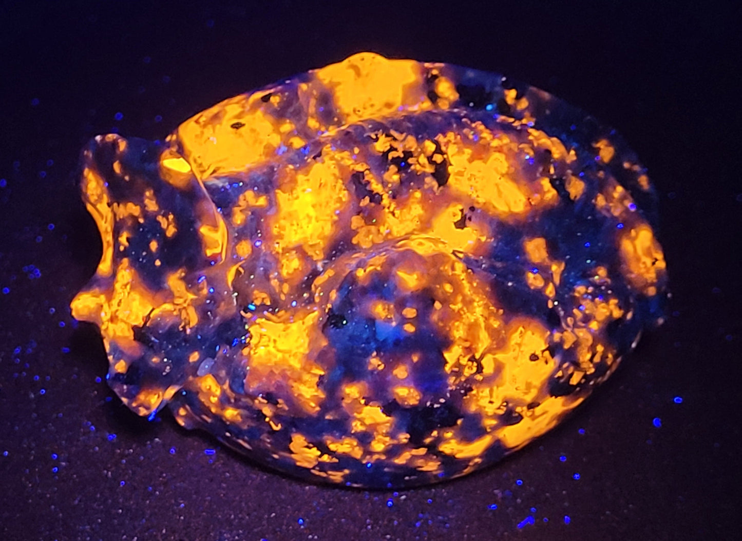 Triceratops in an egg