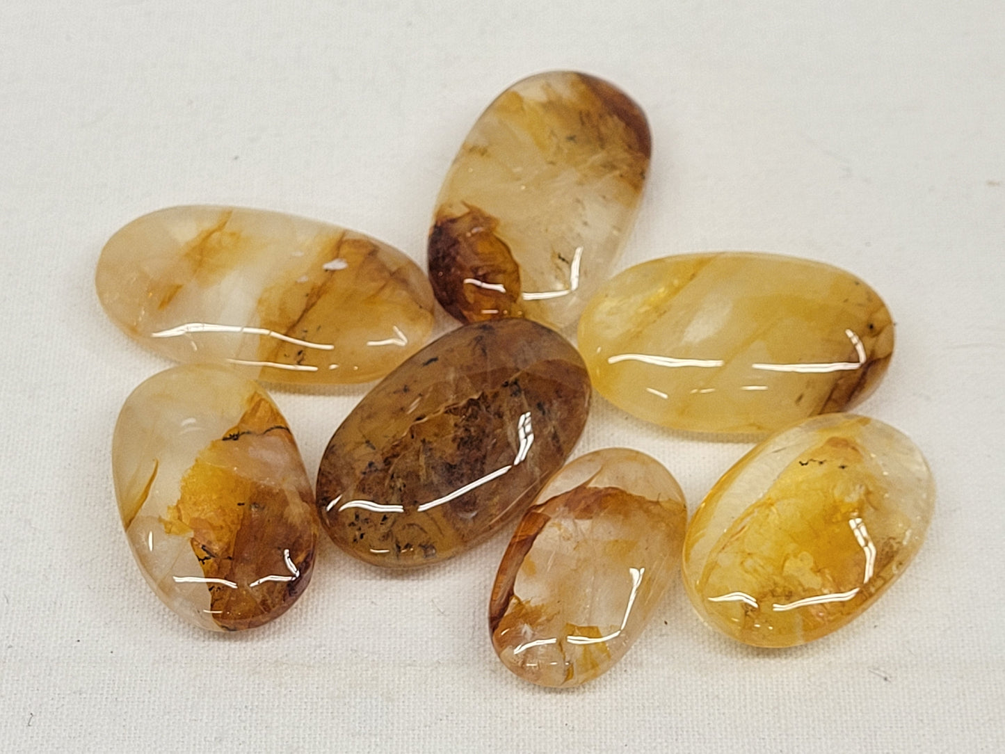 Palm - Golden Healer