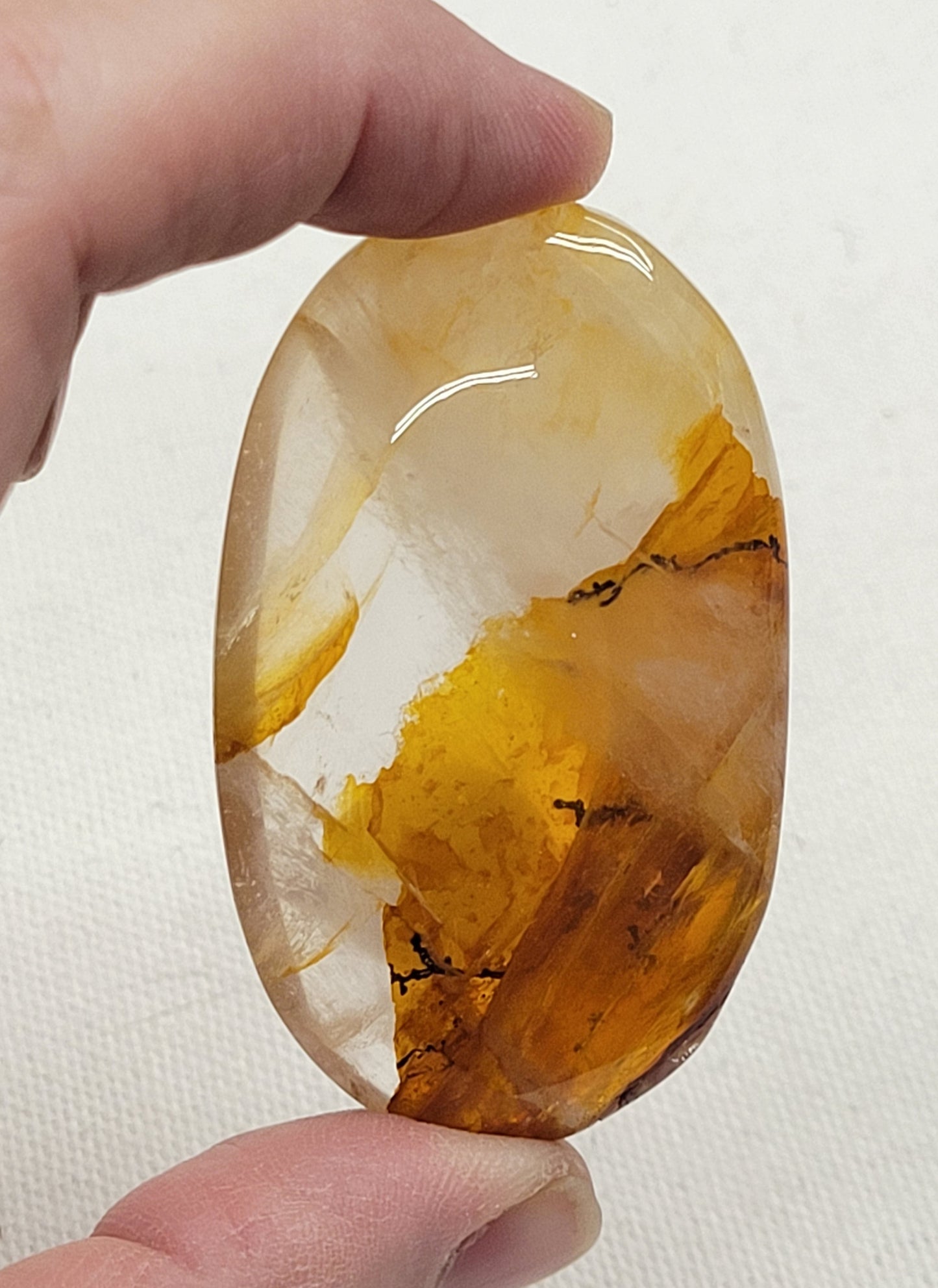 Palm - Golden Healer