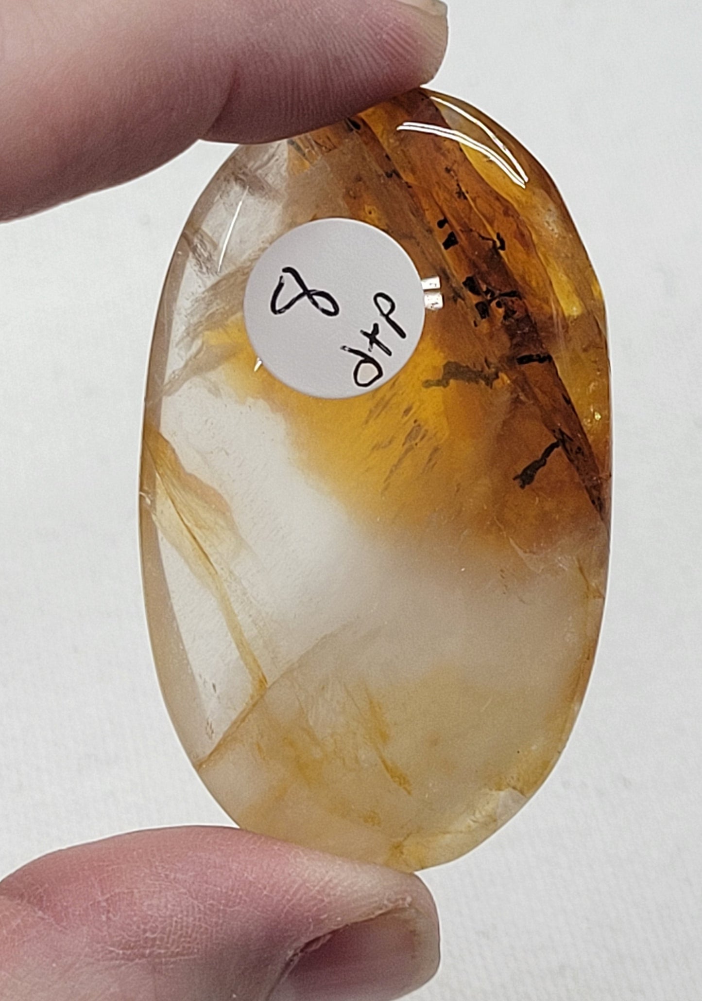 Palm - Golden Healer