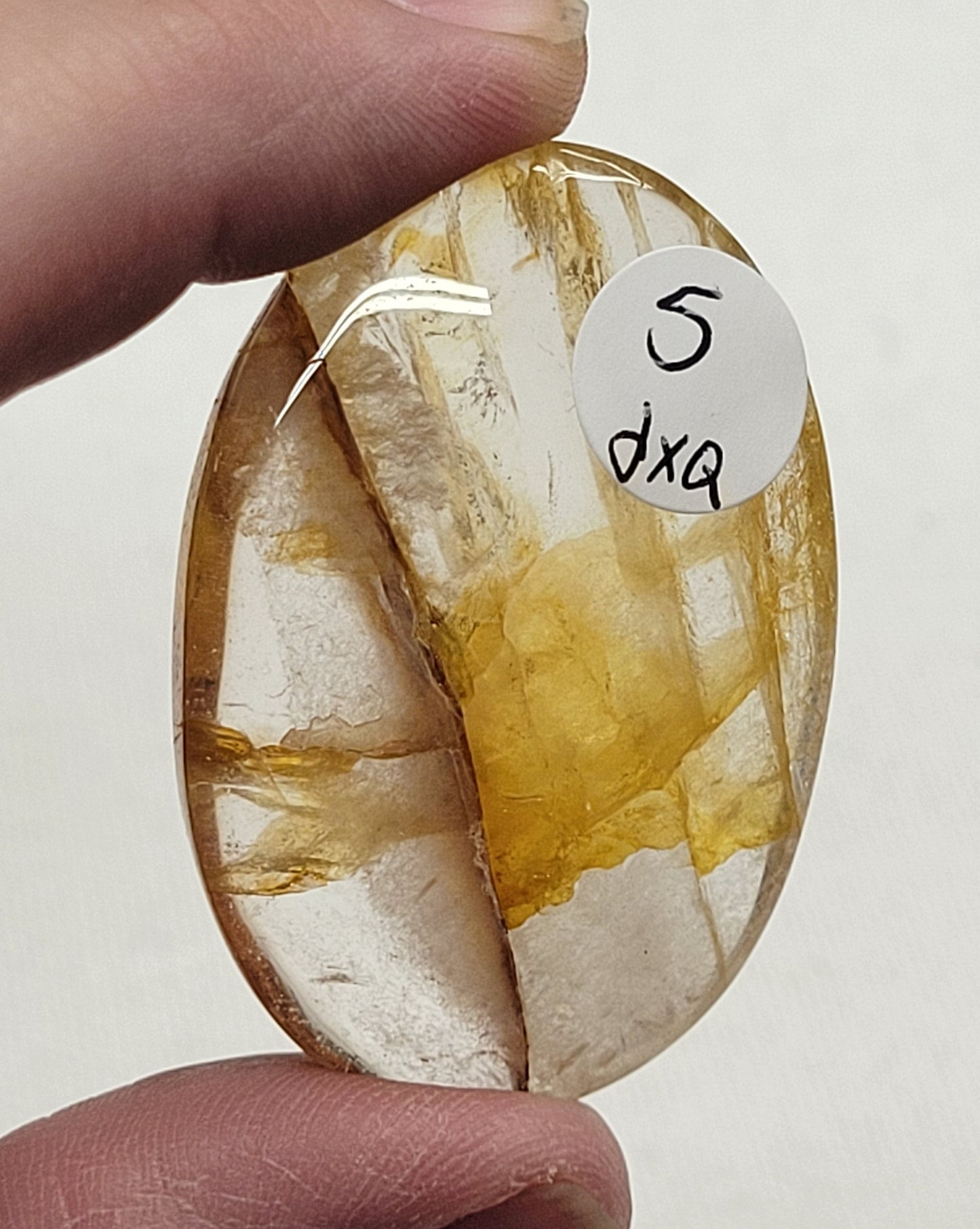 Palm - Golden Healer