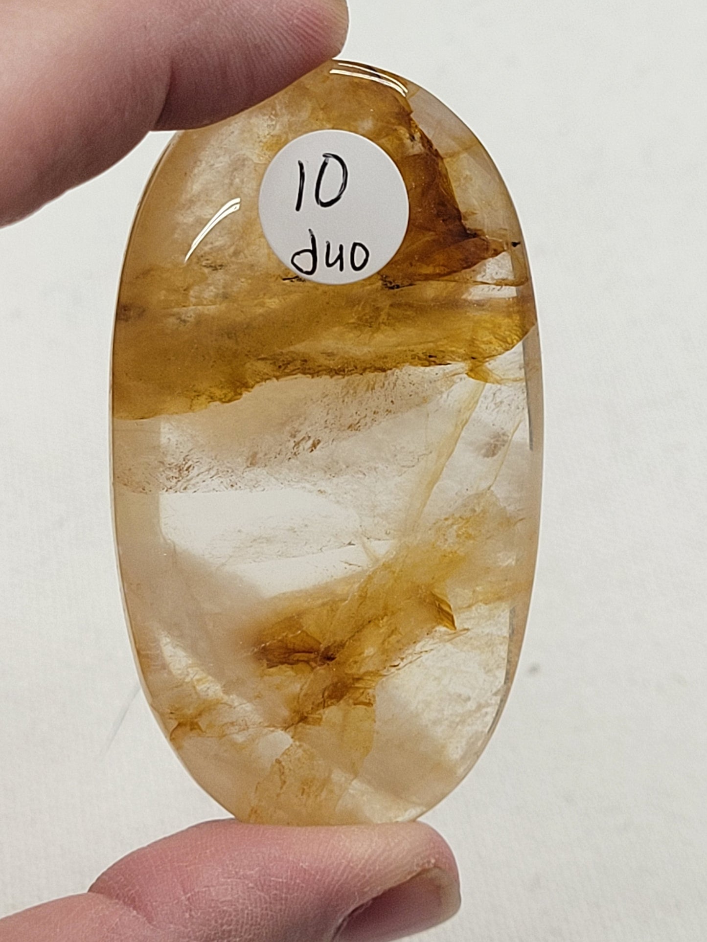 Palm - Golden Healer