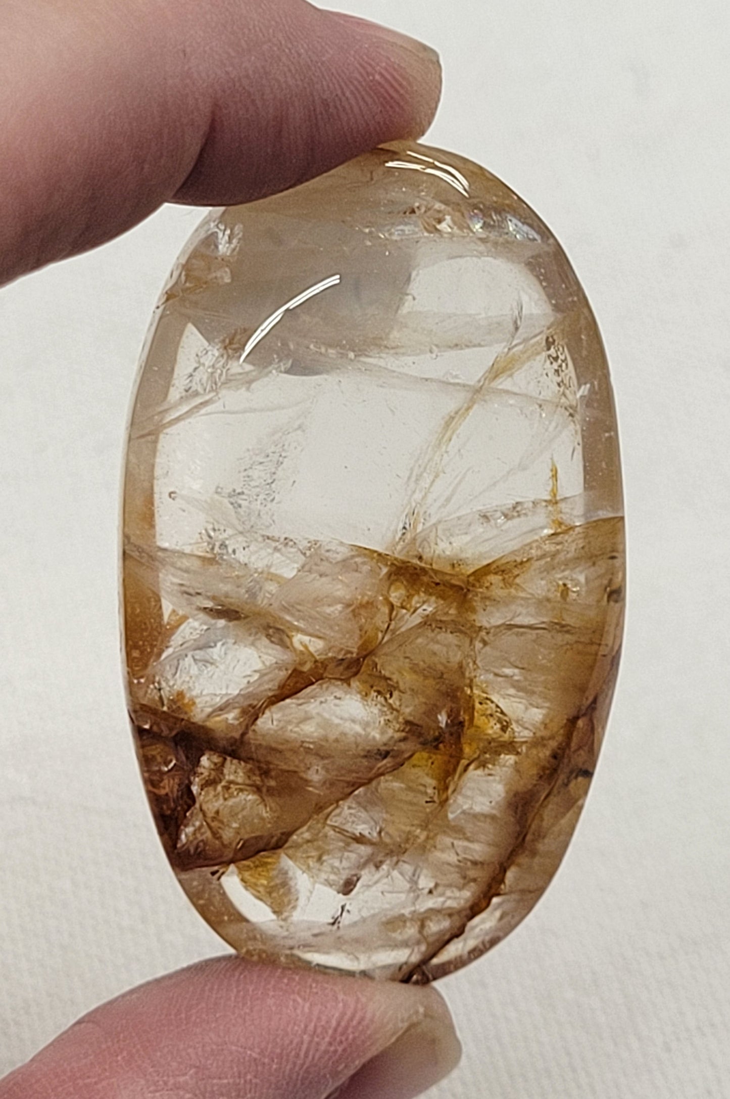 Palm - Golden Healer