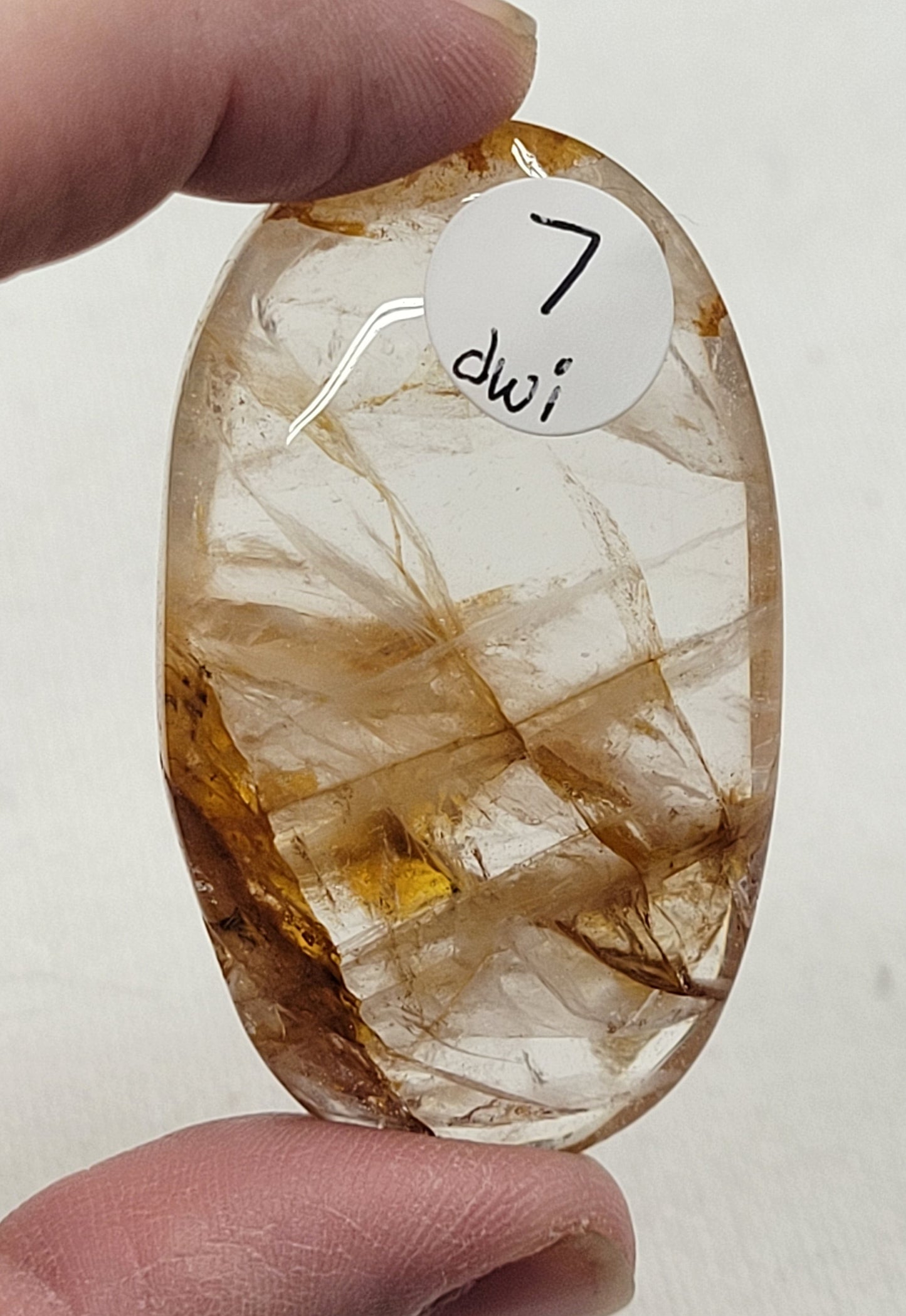 Palm - Golden Healer