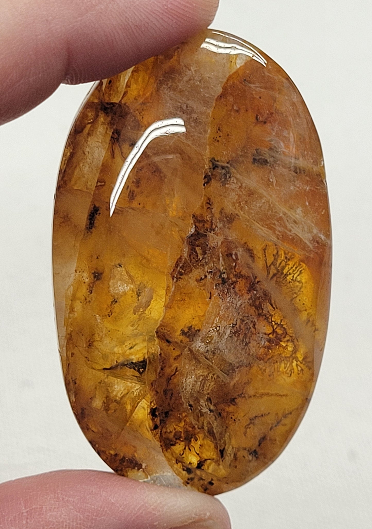 Palm - Golden Healer