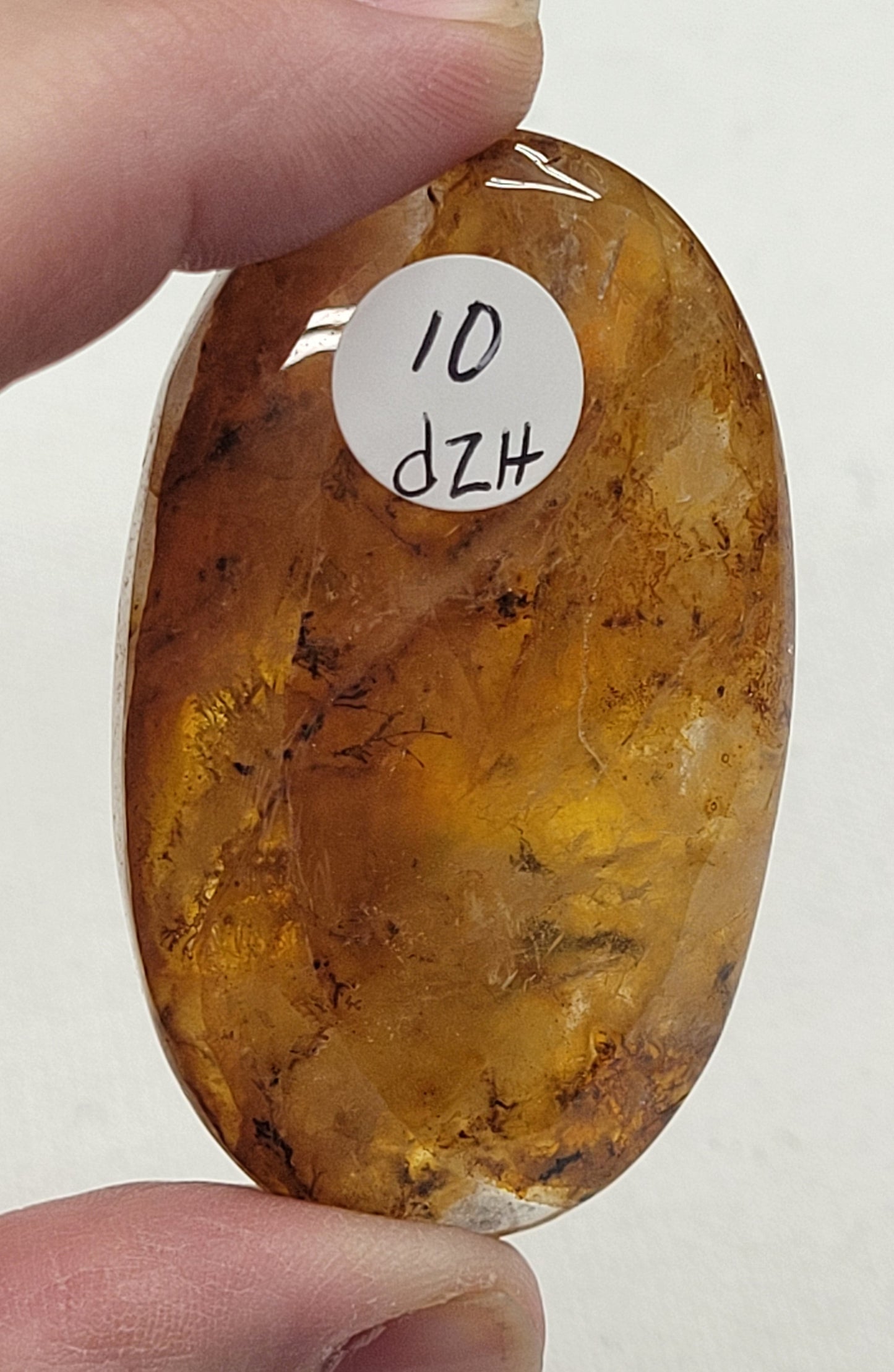 Palm - Golden Healer