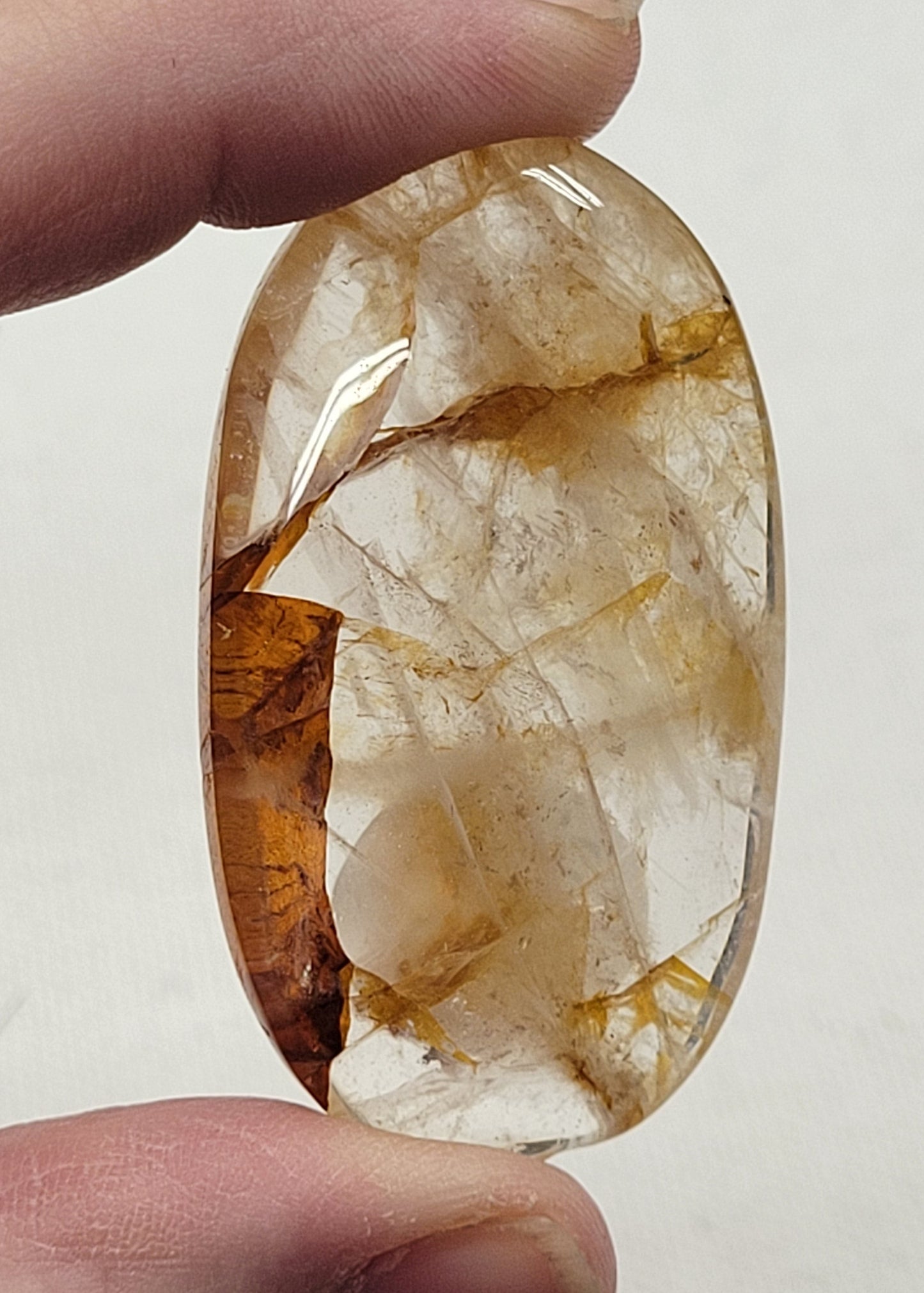 Palm - Golden Healer