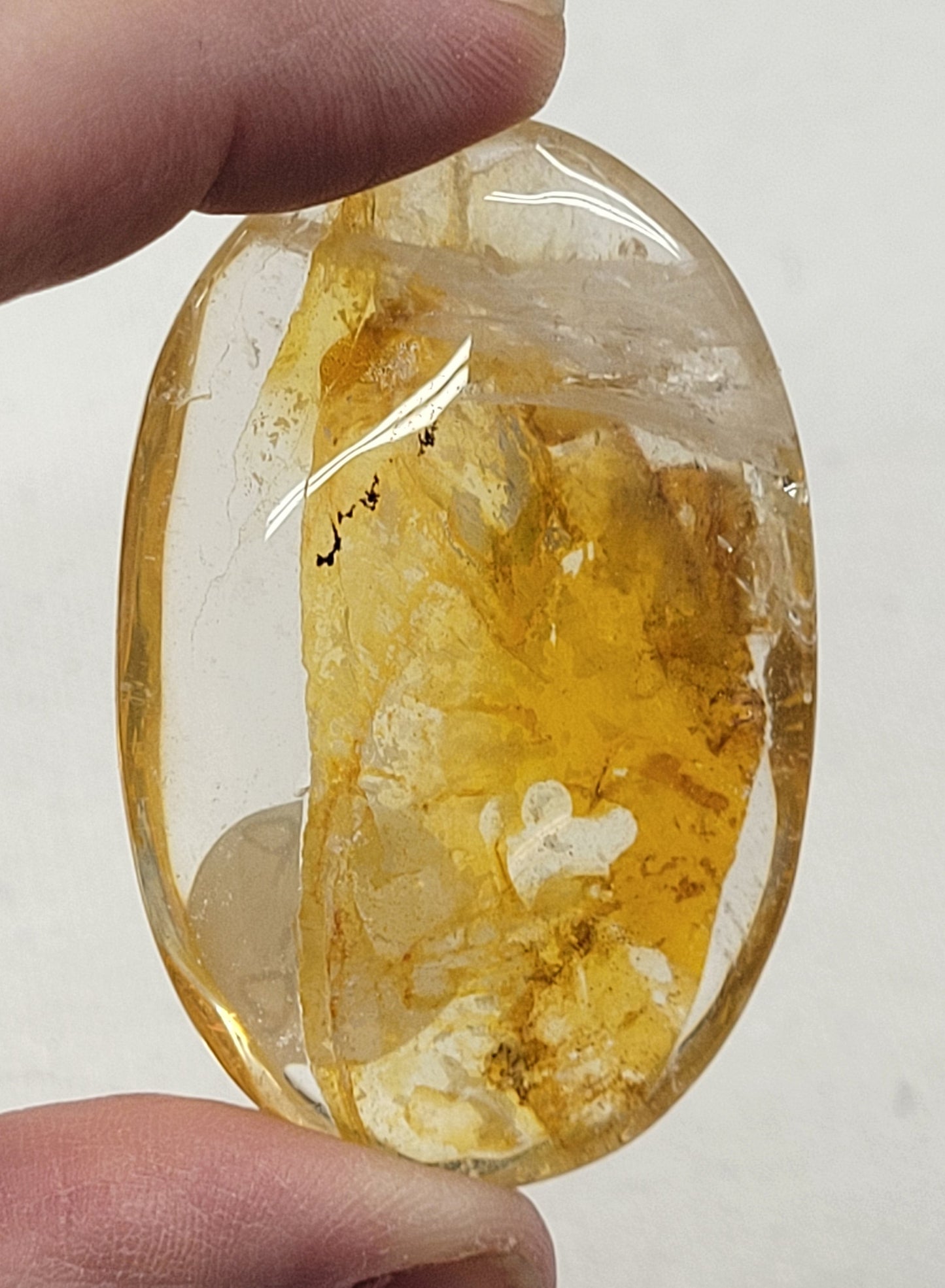 Palm - Golden Healer