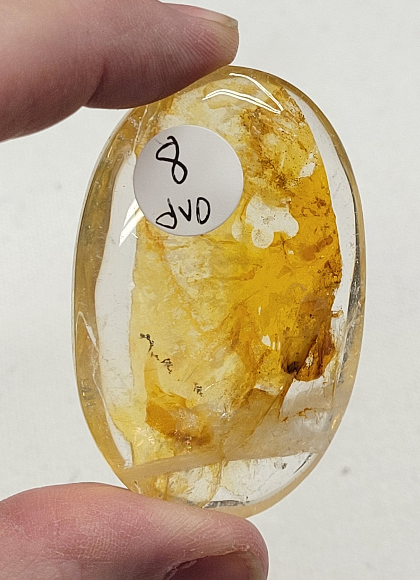 Palm - Golden Healer