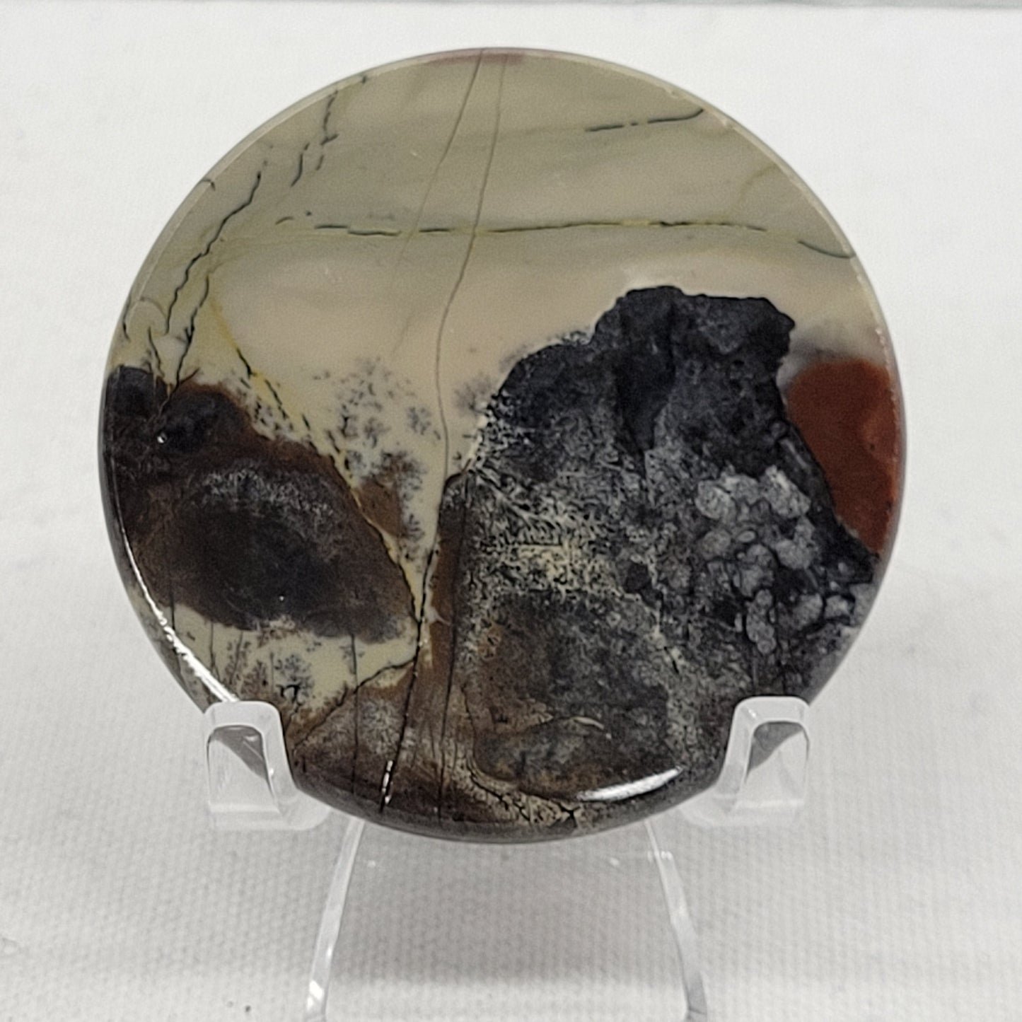Picture Jasper coin
