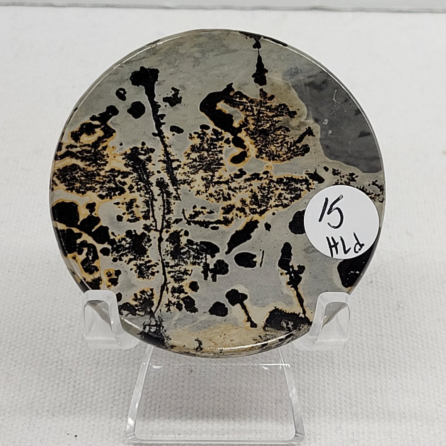 Picture Jasper coin