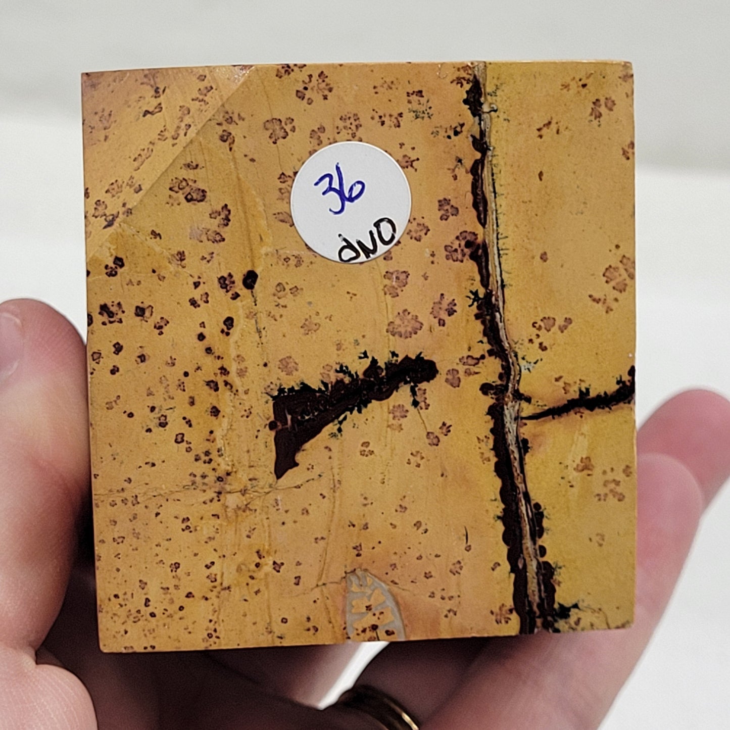 Picture Jasper cubes