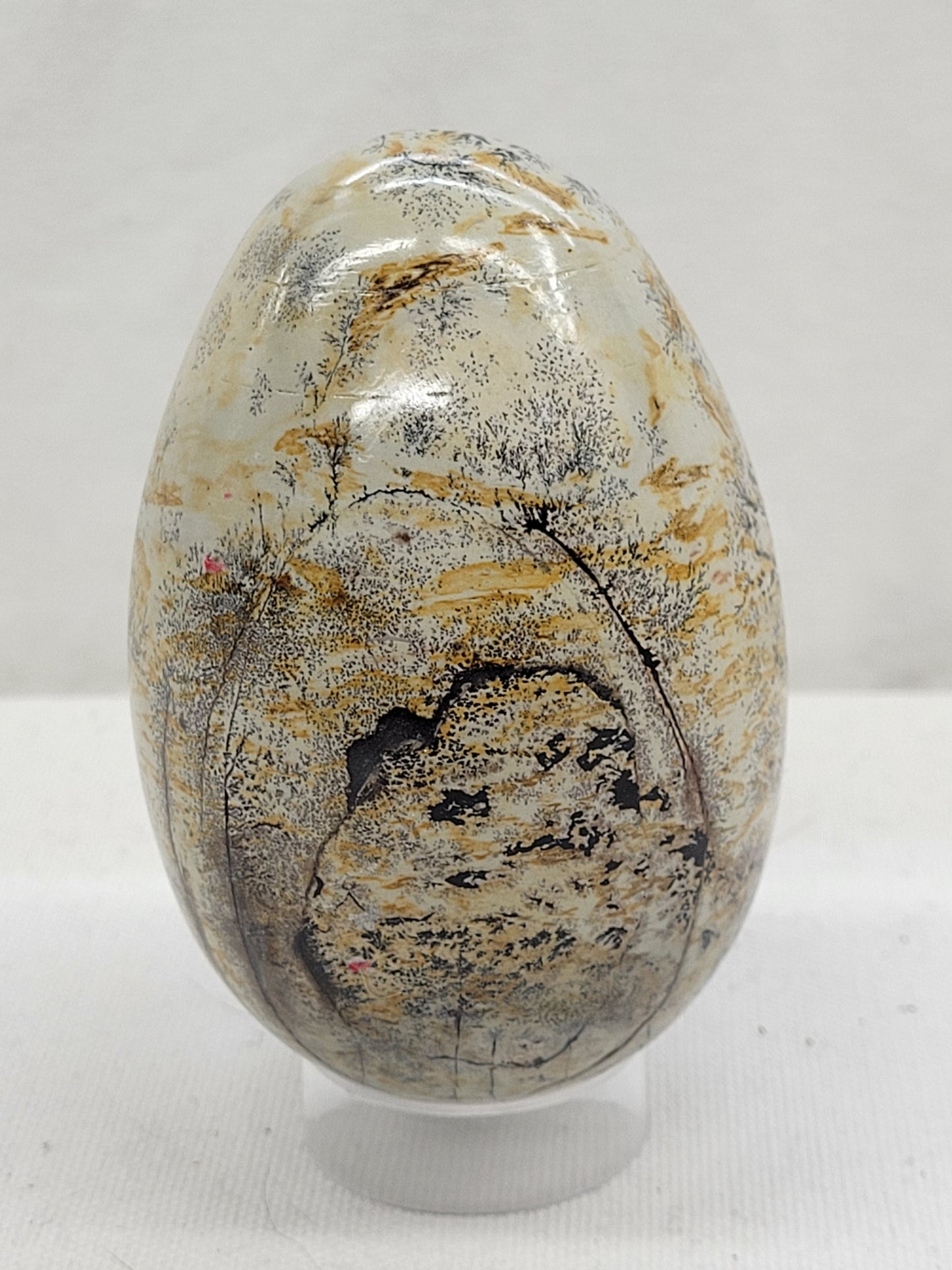 Picture Jasper eggs
