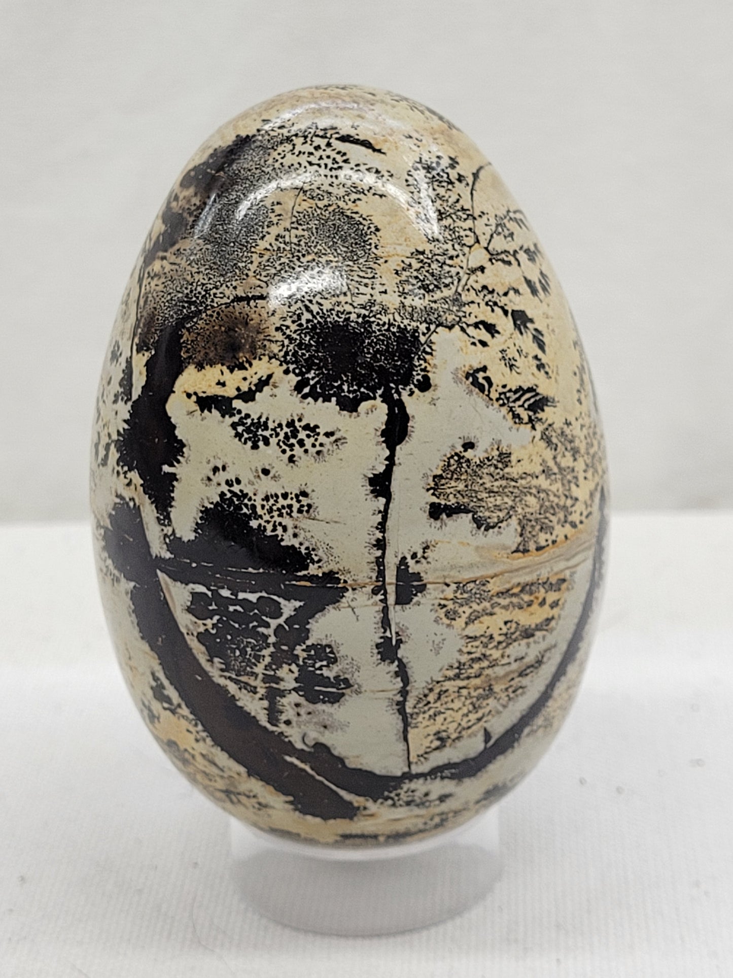 Picture Jasper eggs