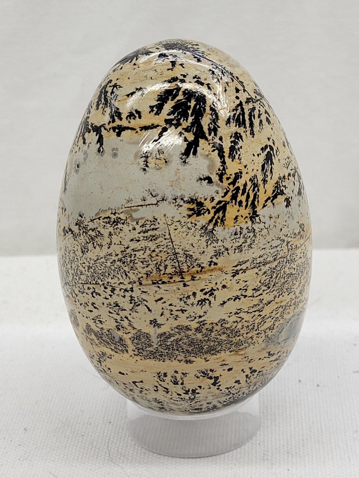 Picture Jasper eggs