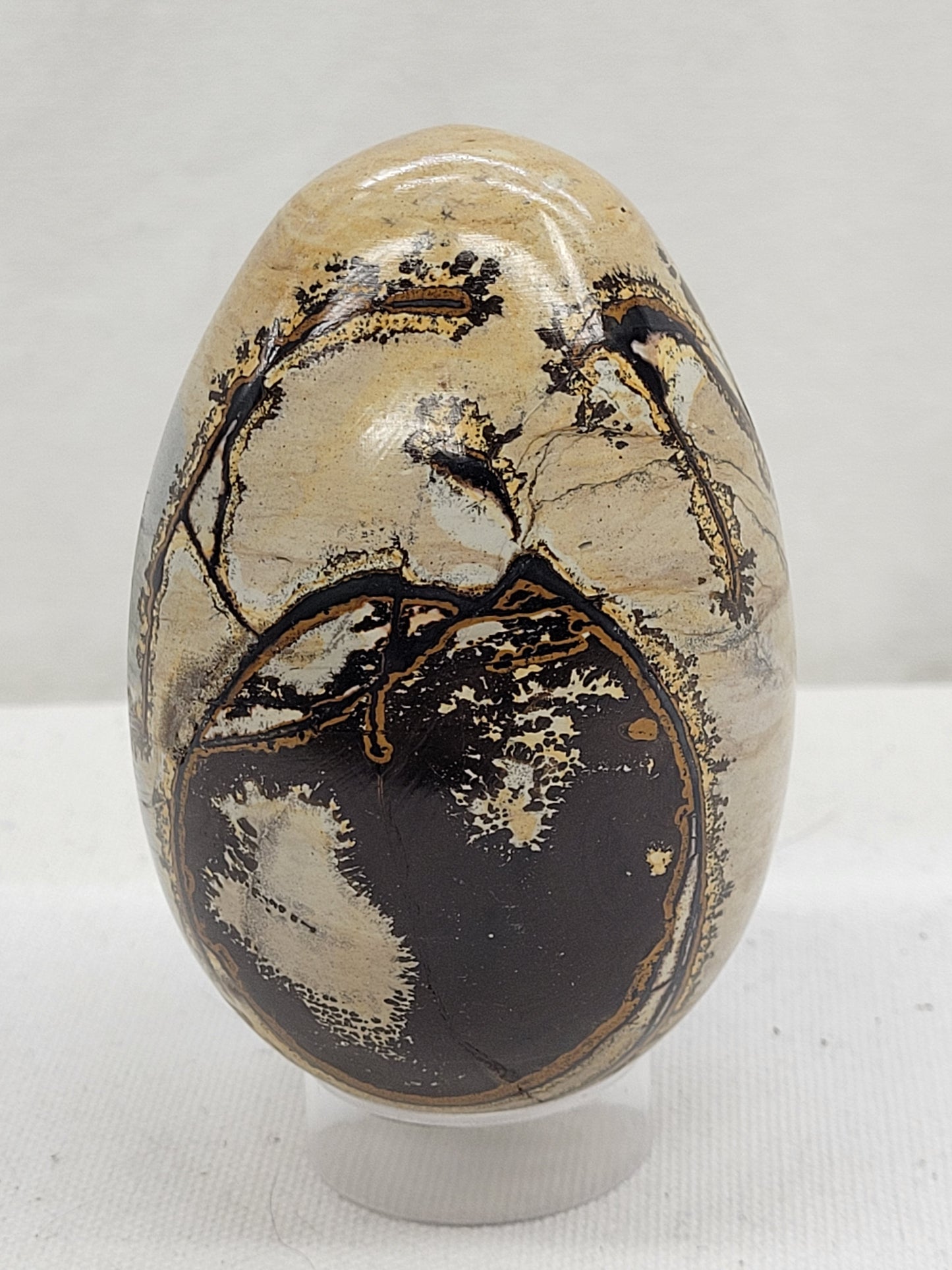 Picture Jasper eggs
