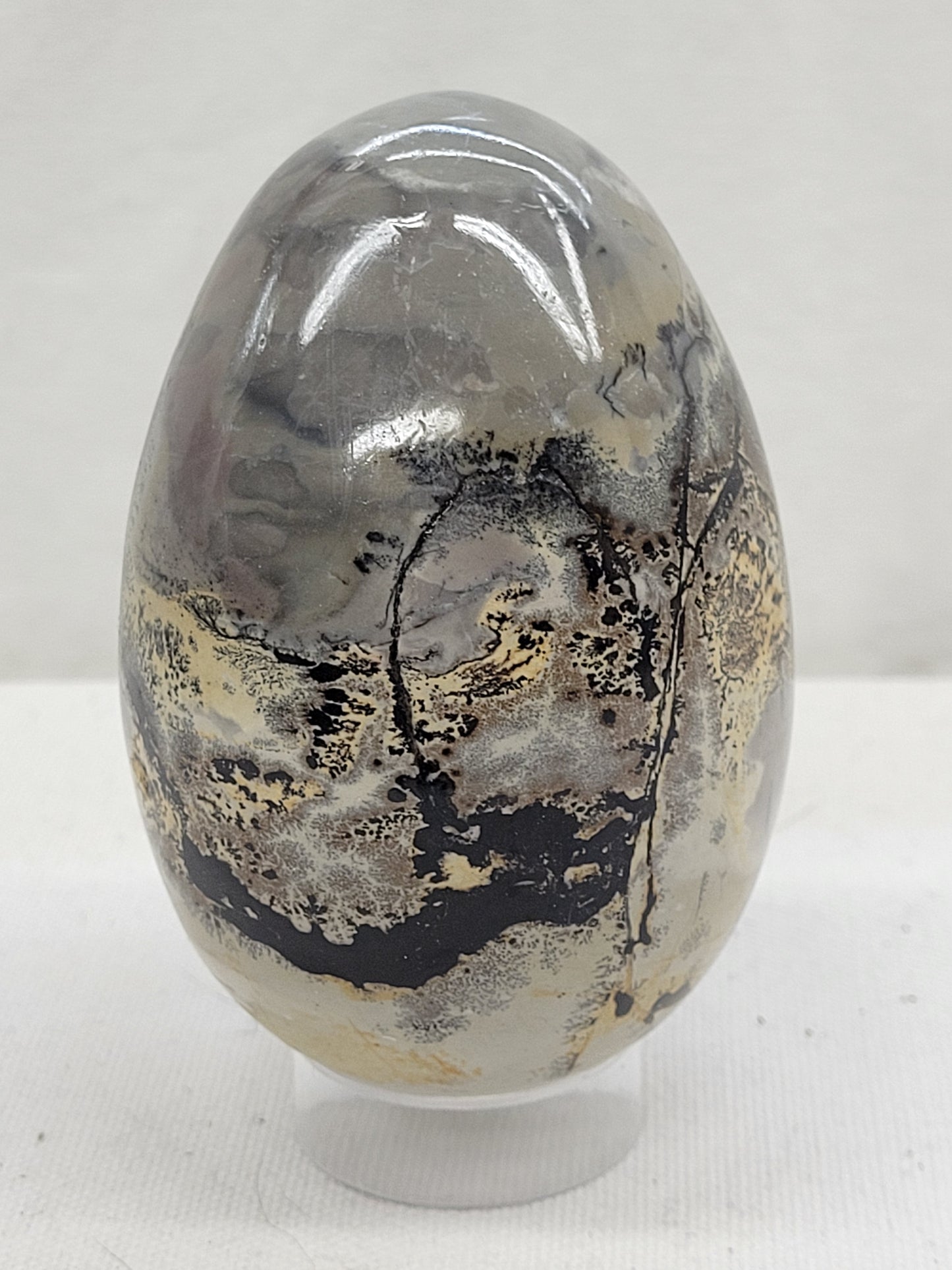 Picture Jasper eggs