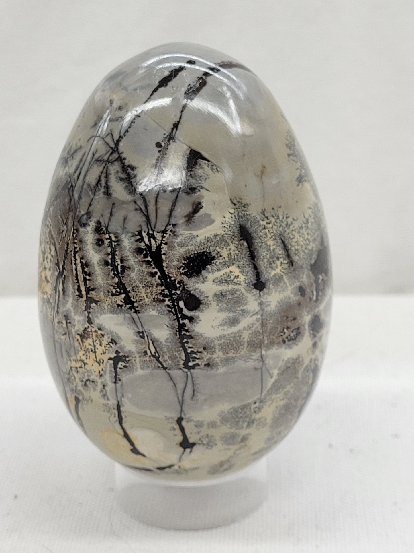 Picture Jasper eggs