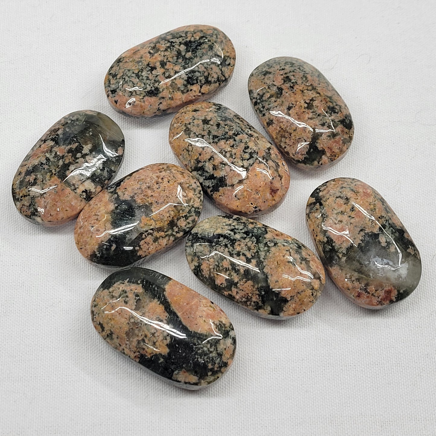 Palm - Cherry Blossom Lodilite