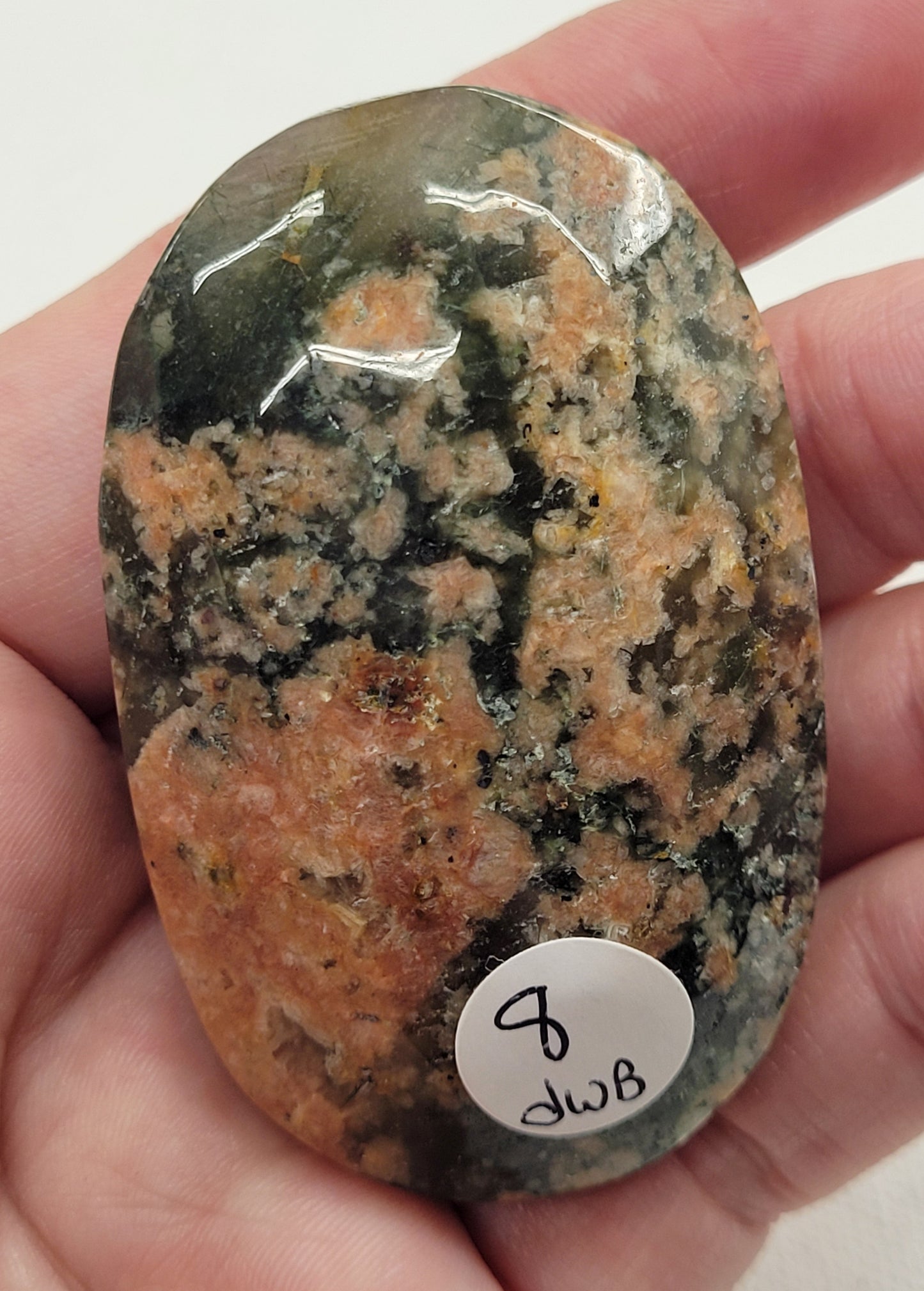 Palm - Cherry Blossom Lodilite